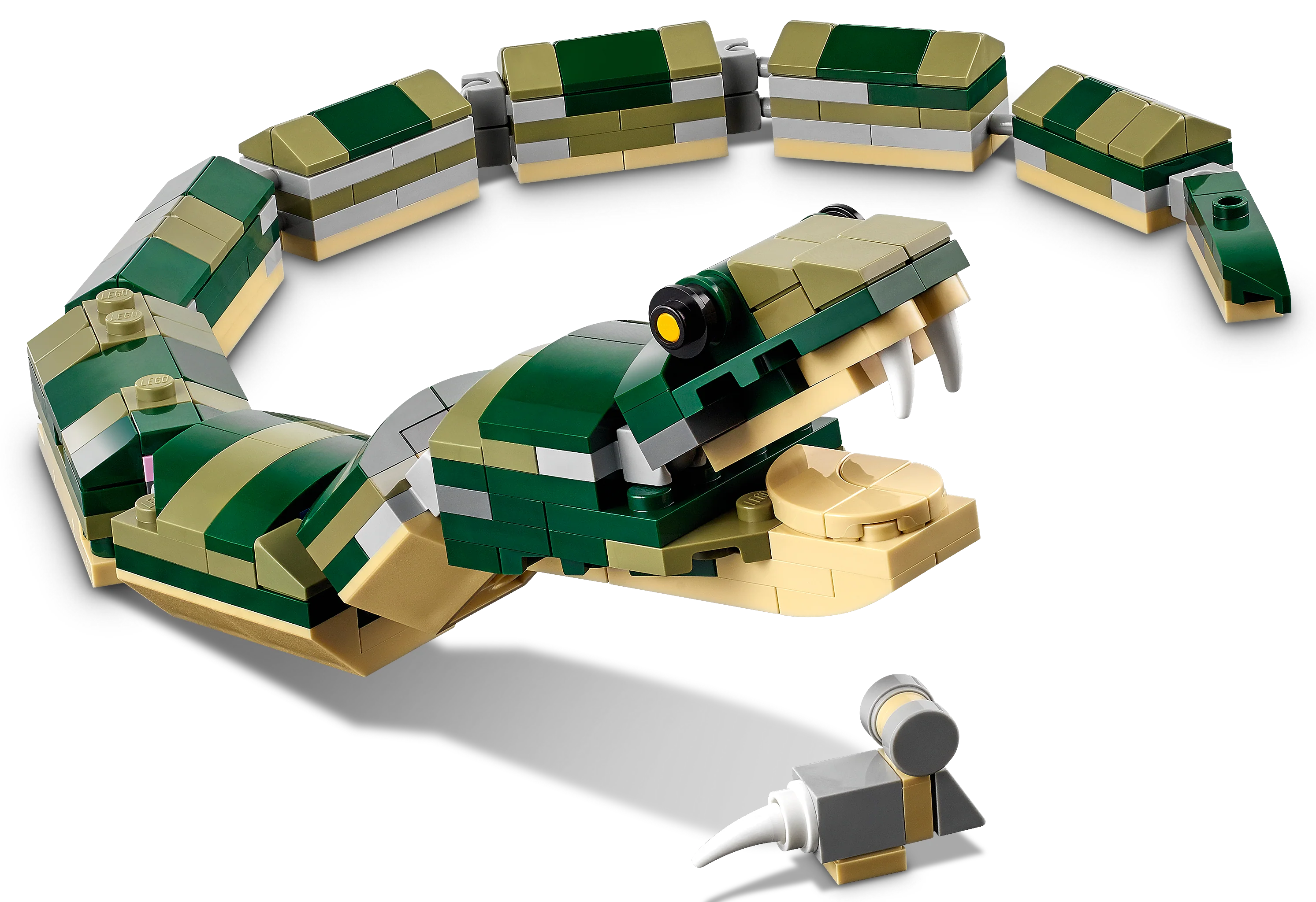 Crocodile - Image 5