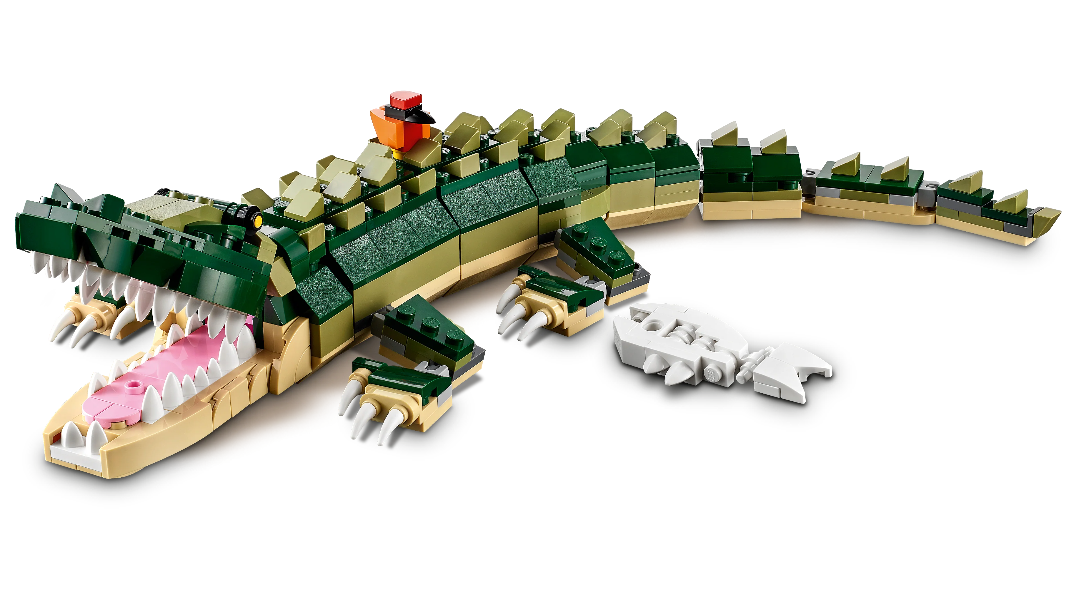 Crocodile - Image 6