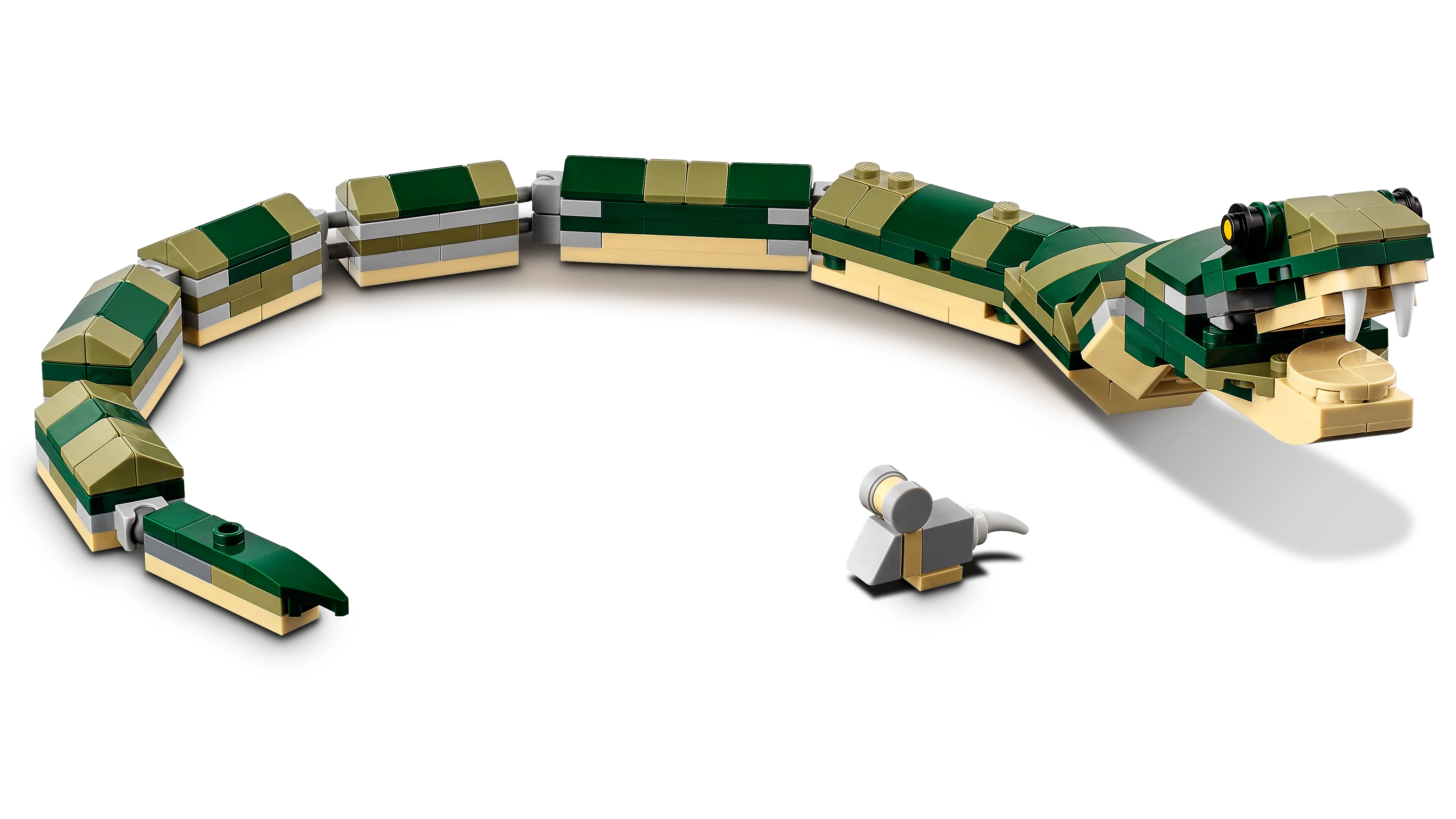 Crocodile - Image 7