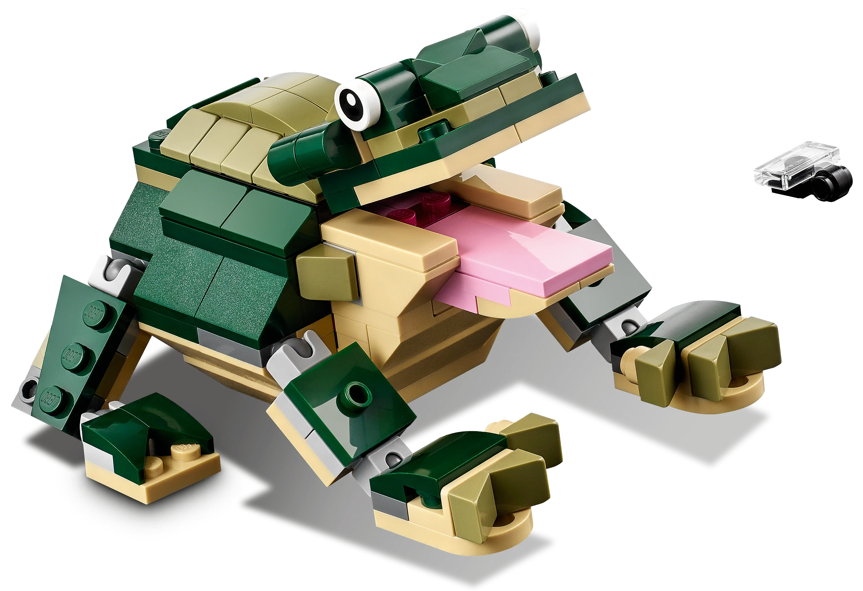 Crocodile - Image 8