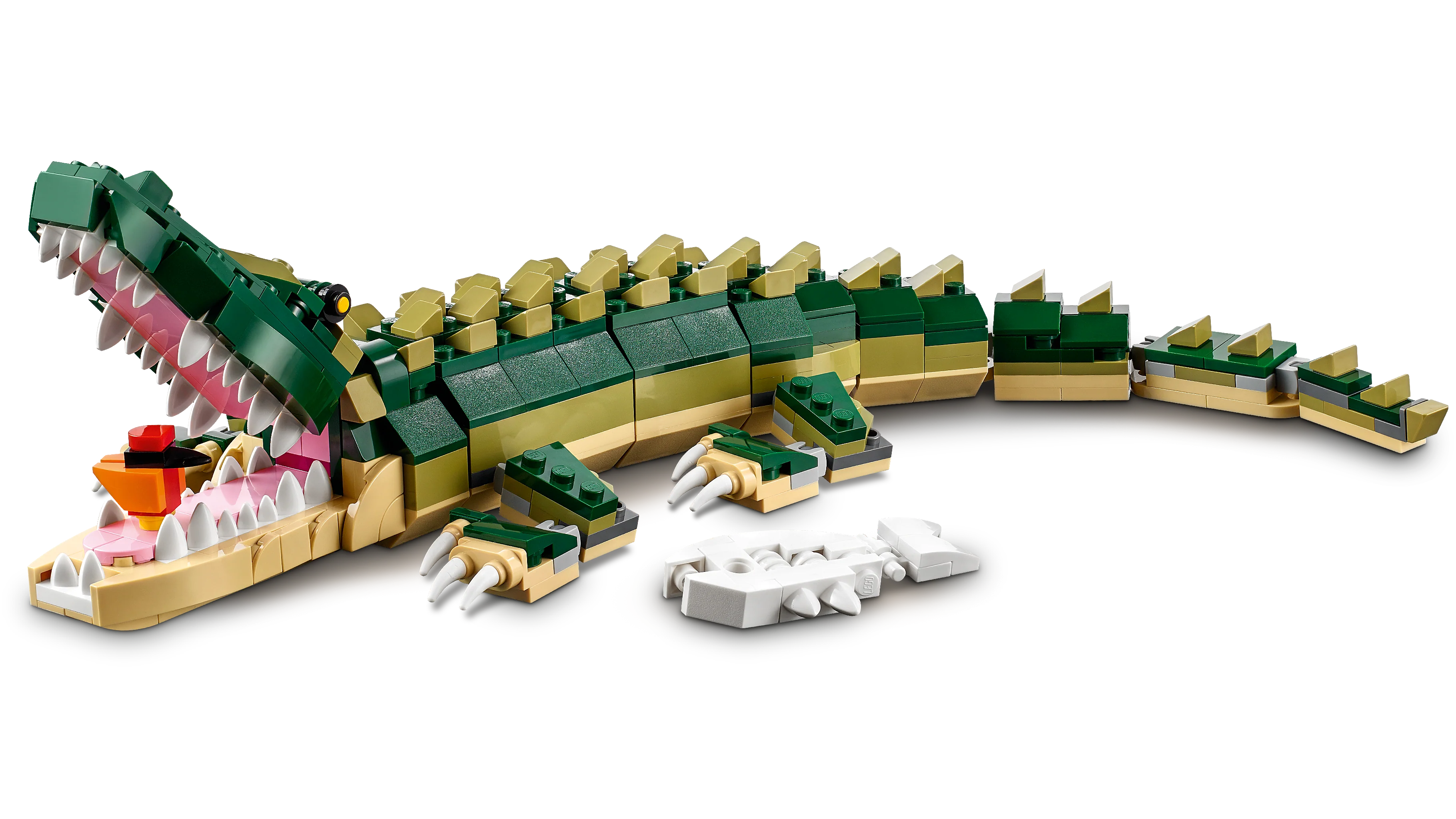 Crocodile - Image 9