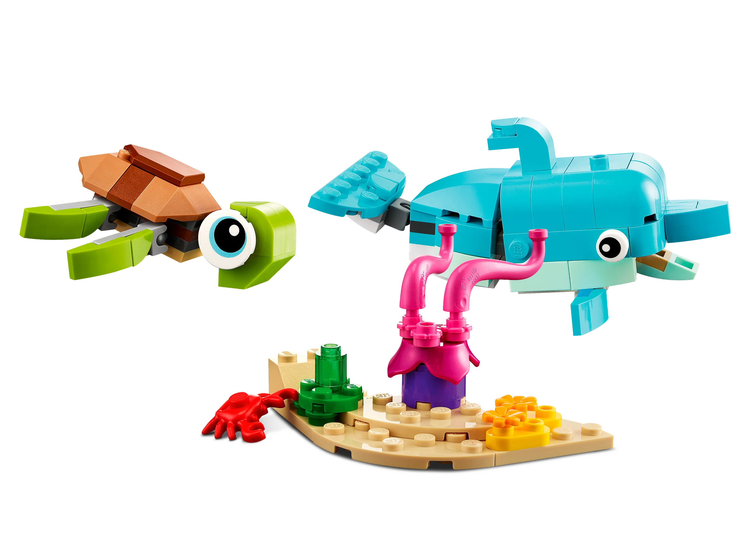 Dolphin and Turtle - Image 3