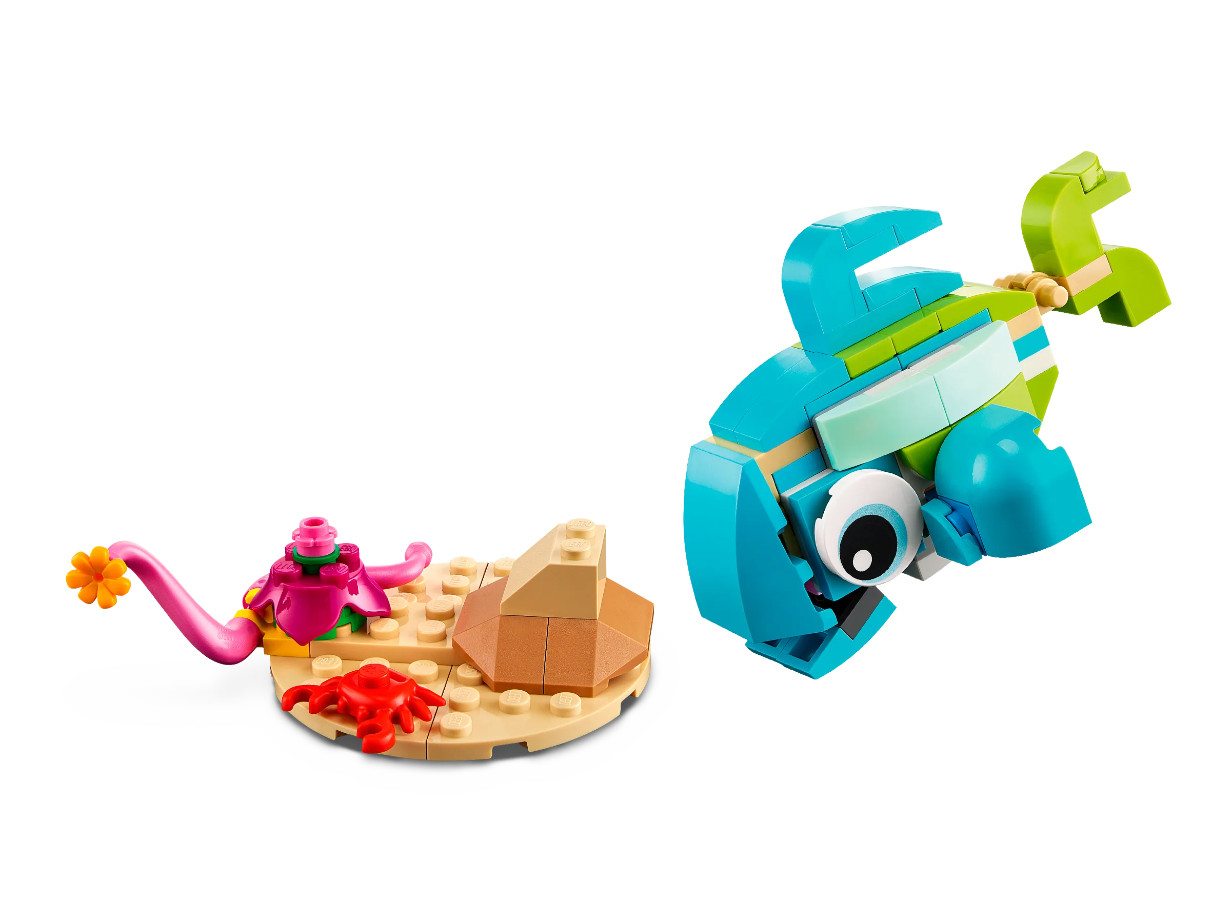 Dolphin and Turtle - Image 4