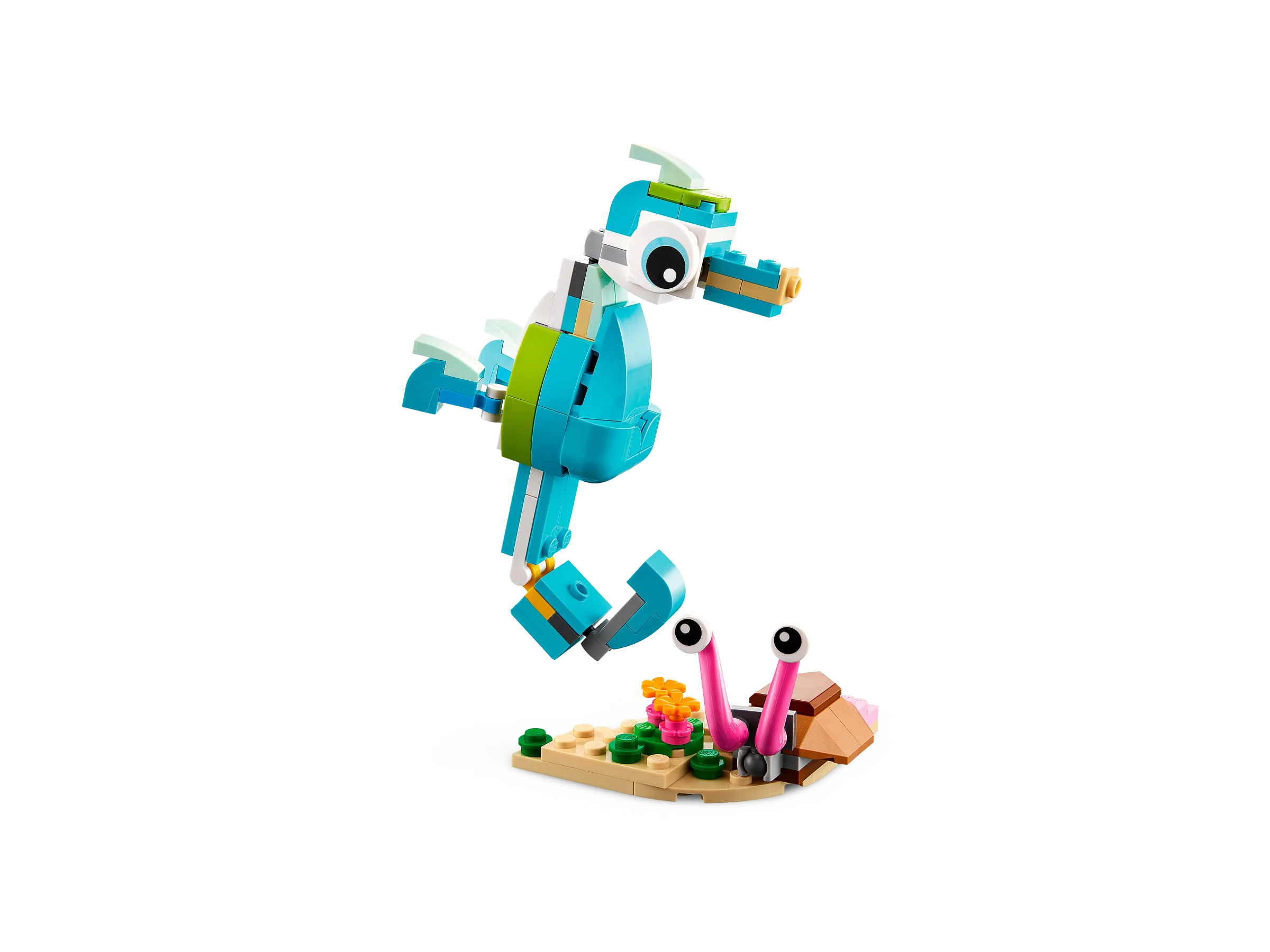 Dolphin and Turtle - Image 5