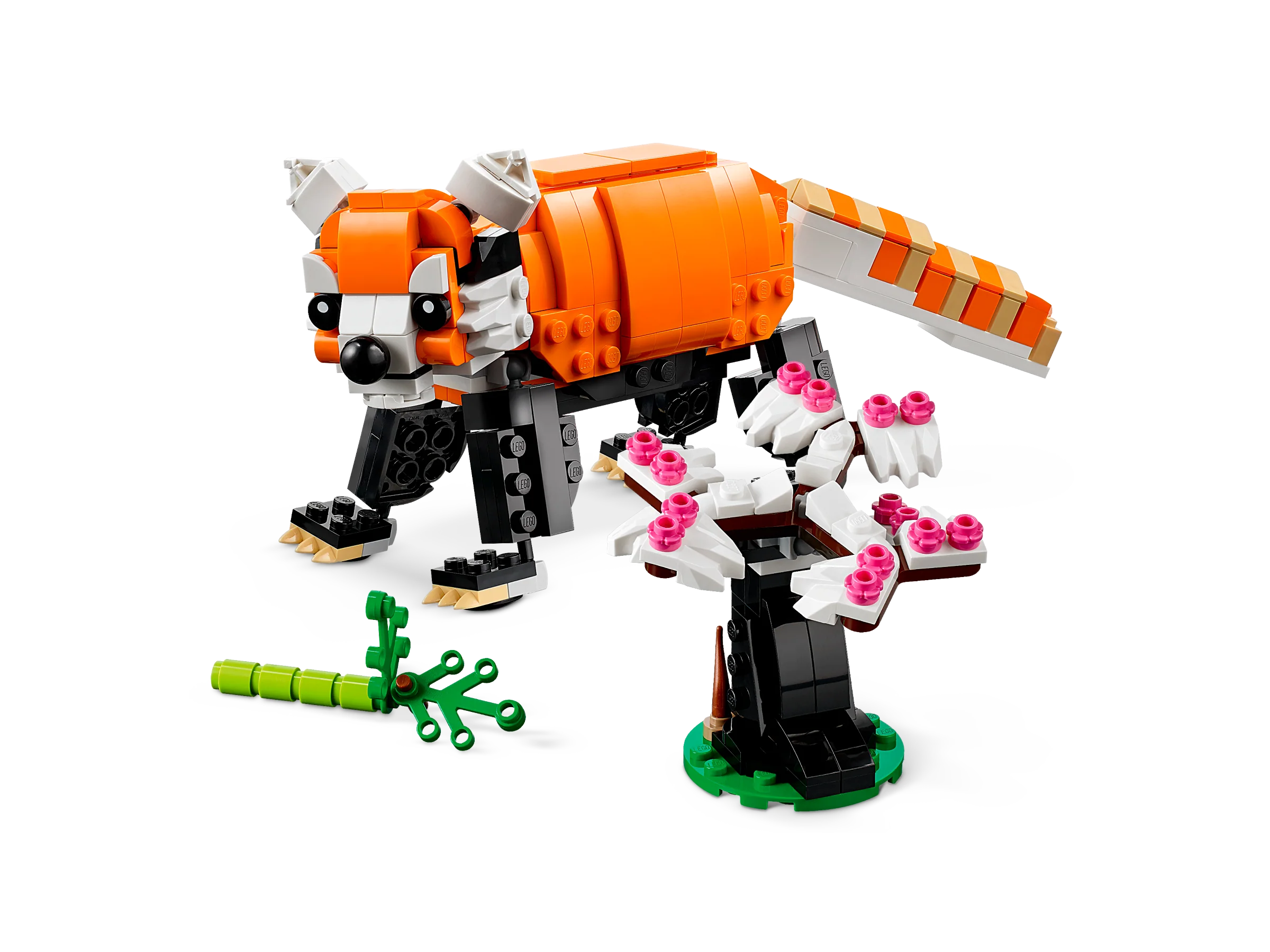 Majestic Tiger - Image 4