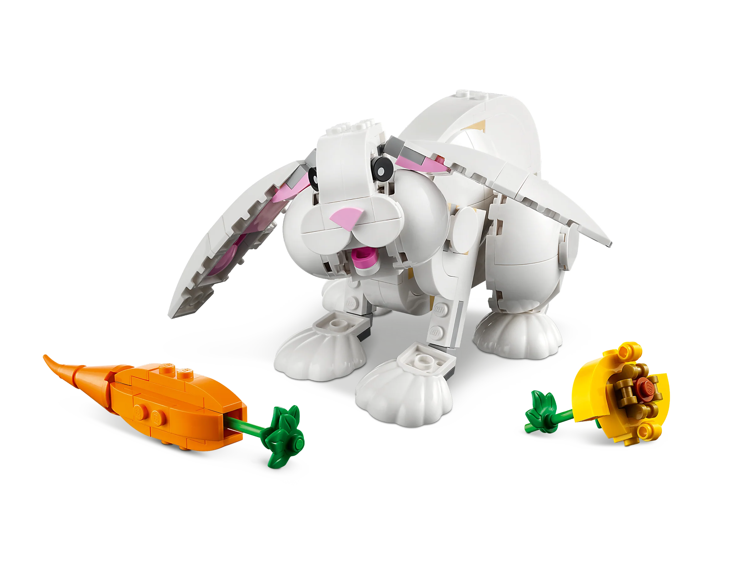 White Rabbit - Image 3
