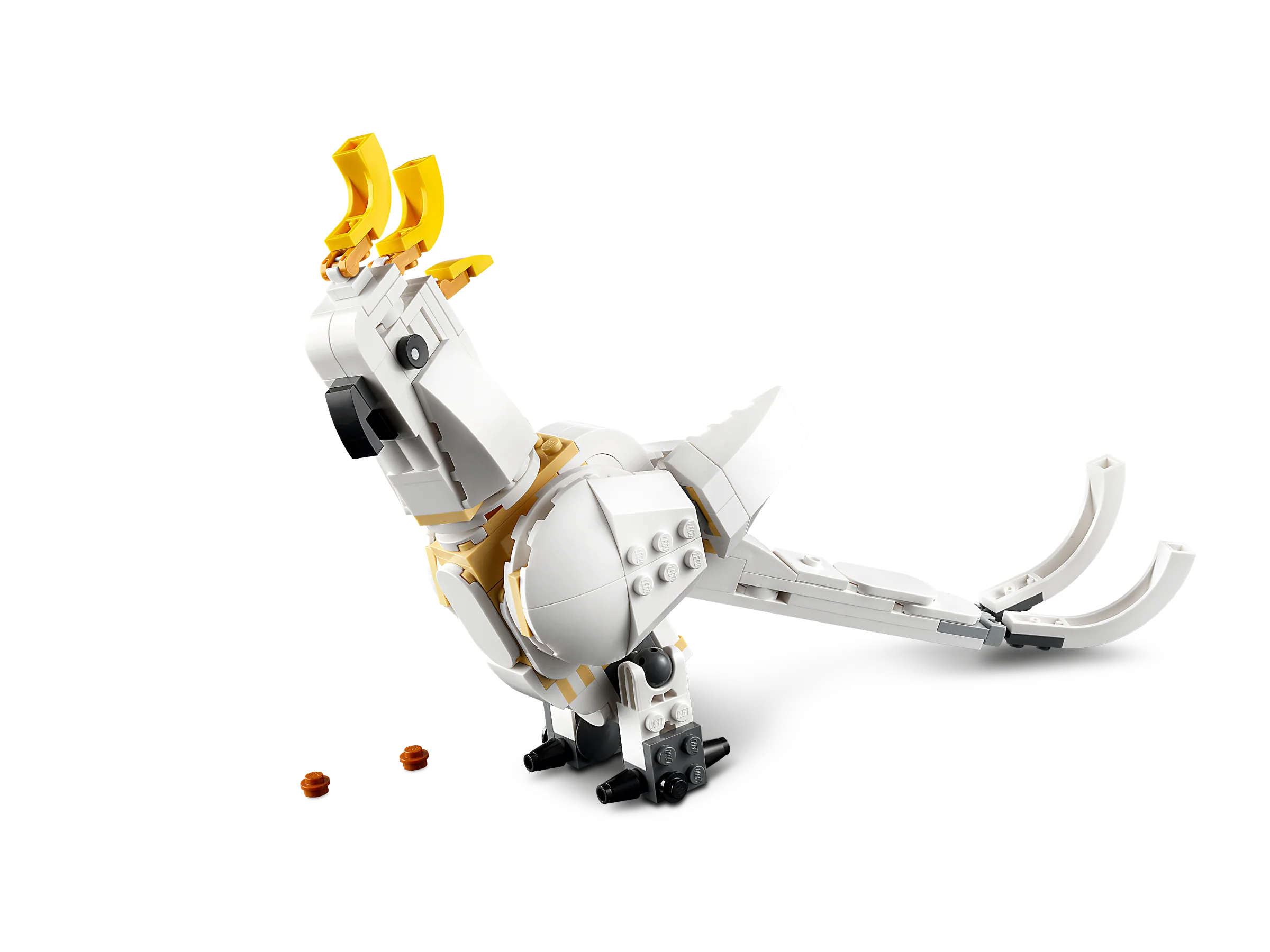 White Rabbit - Image 4