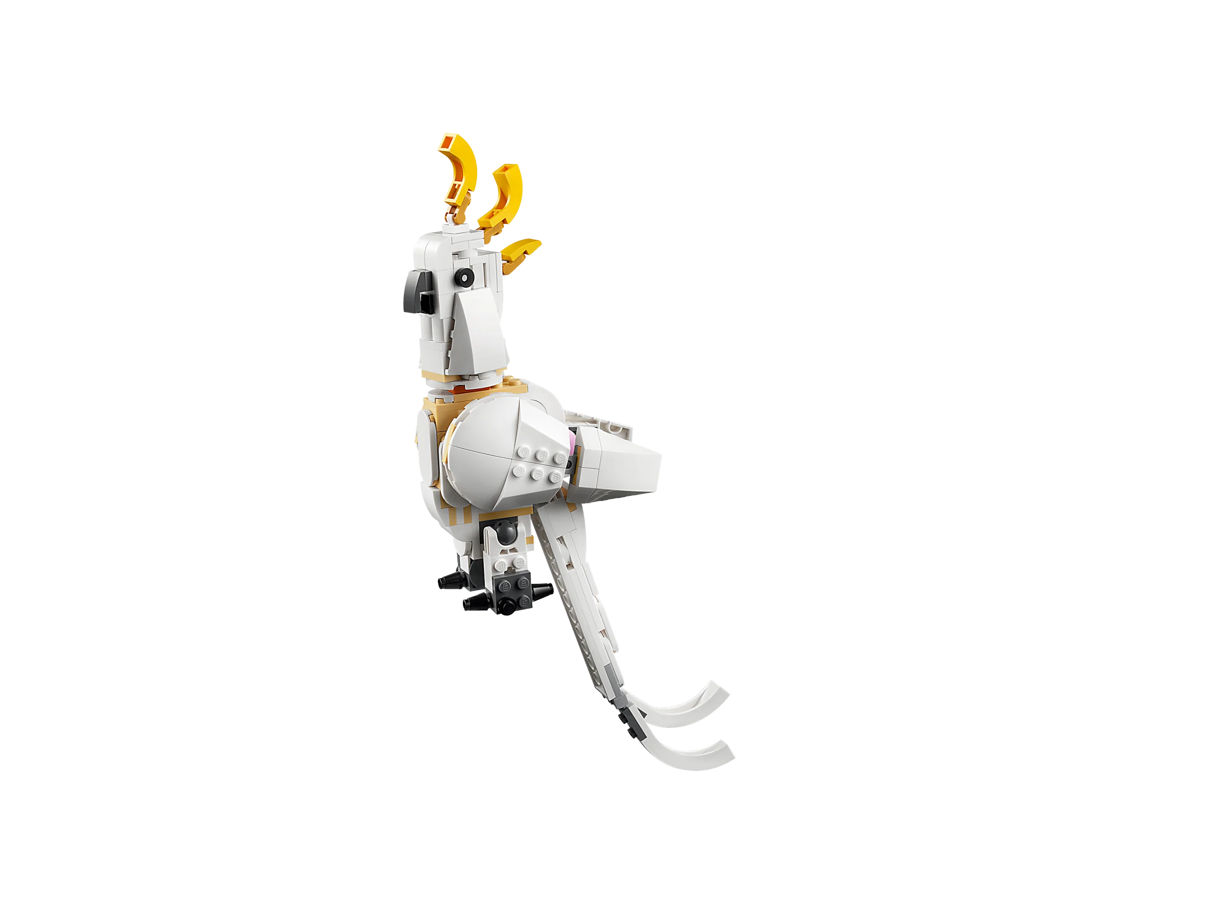 White Rabbit - Image 5