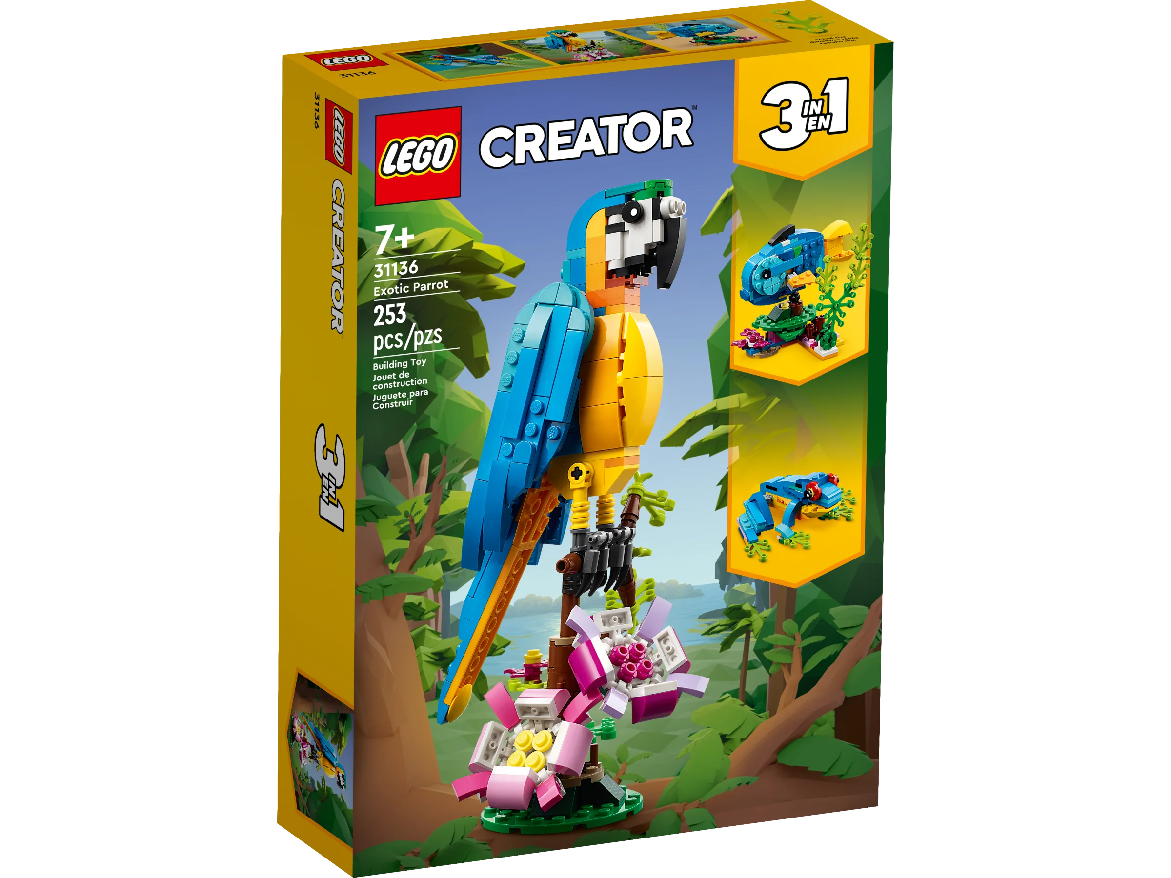 Exotic Parrot - Image 2
