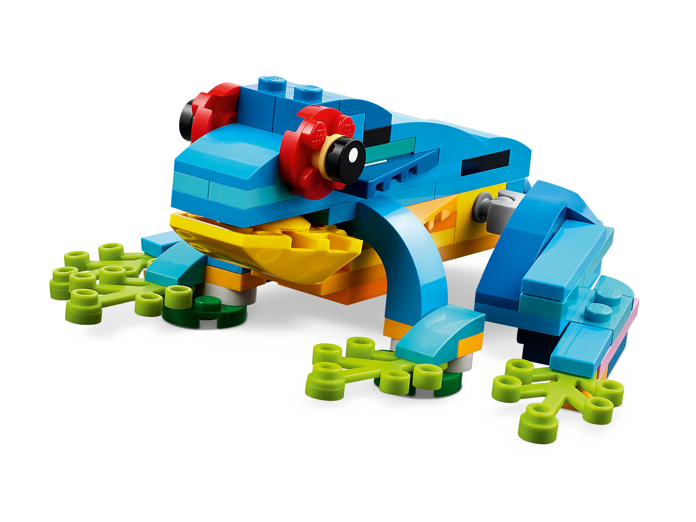 Exotic Parrot - Image 4