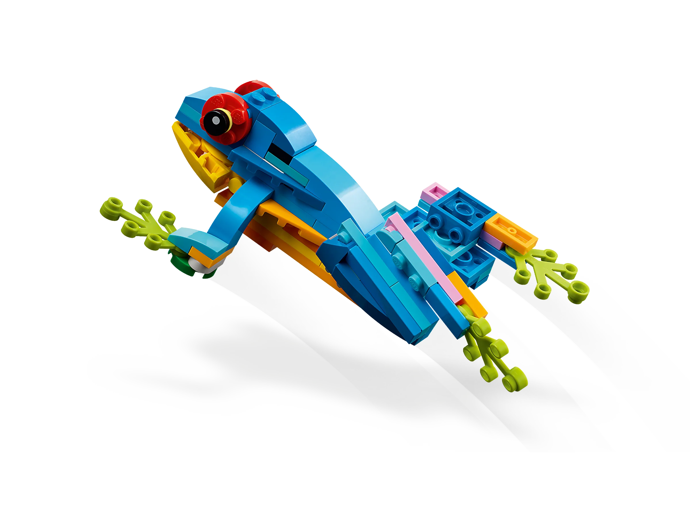 Exotic Parrot - Image 5