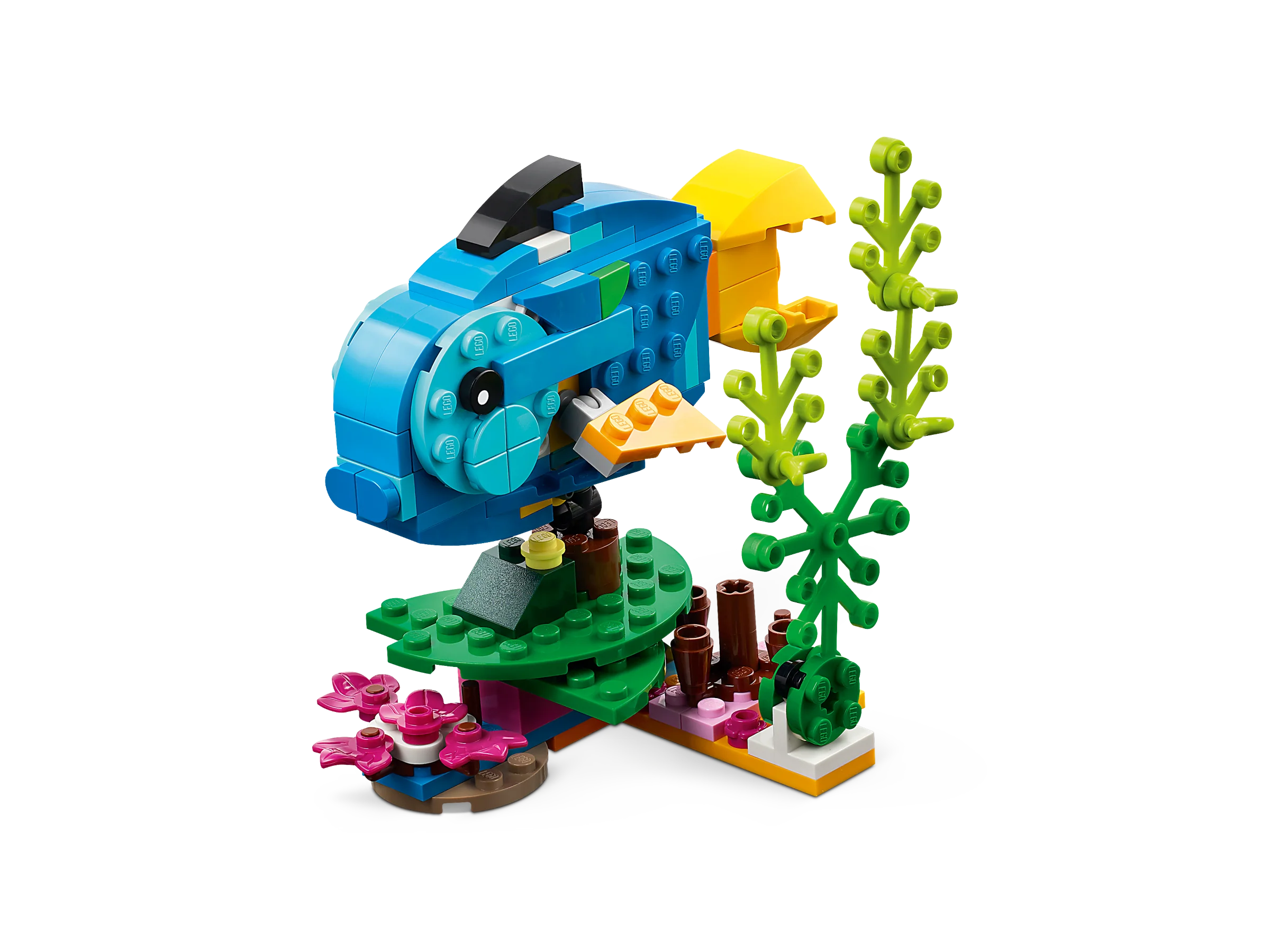 Exotic Parrot - Image 6