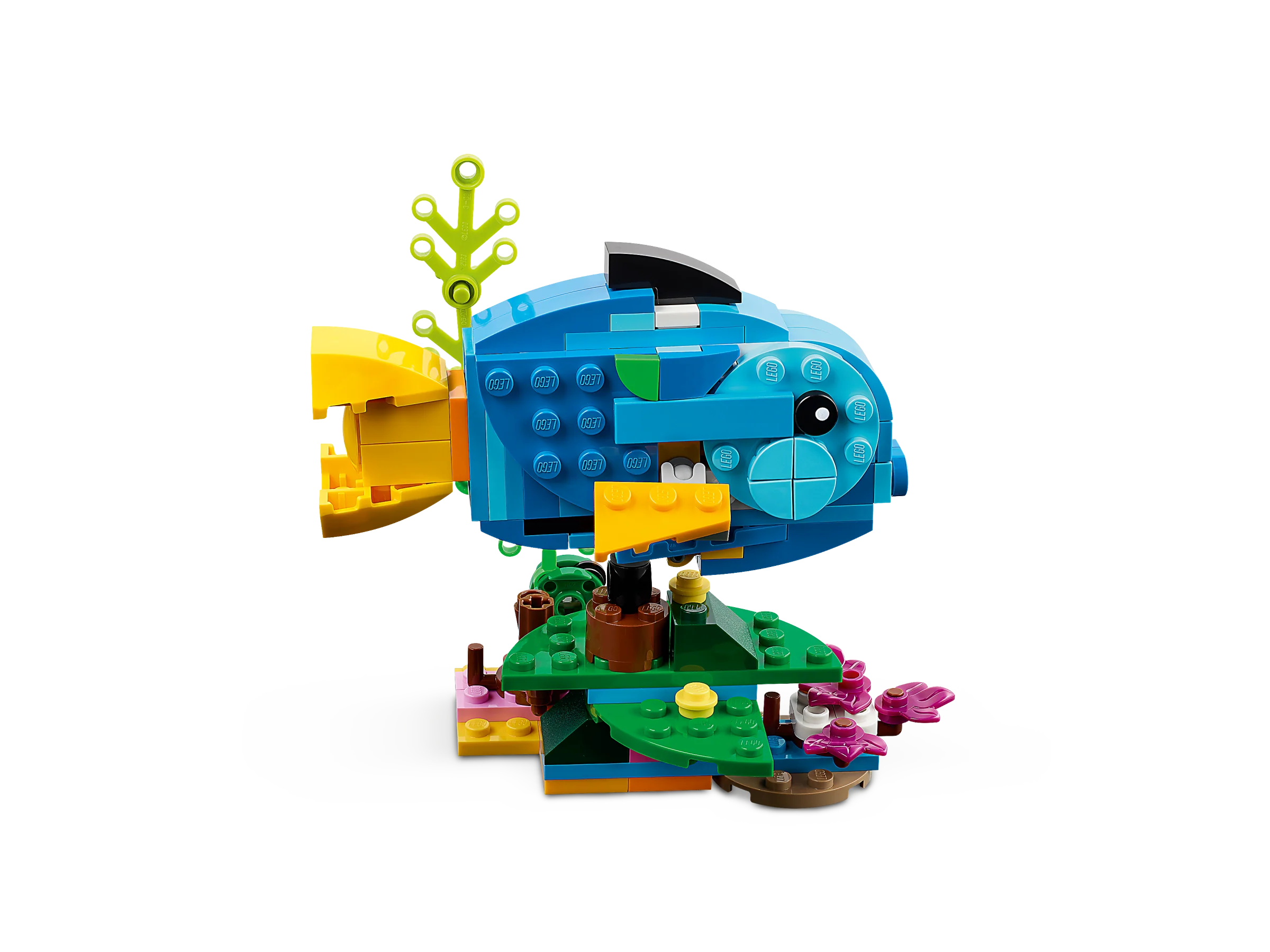 Exotic Parrot - Image 7