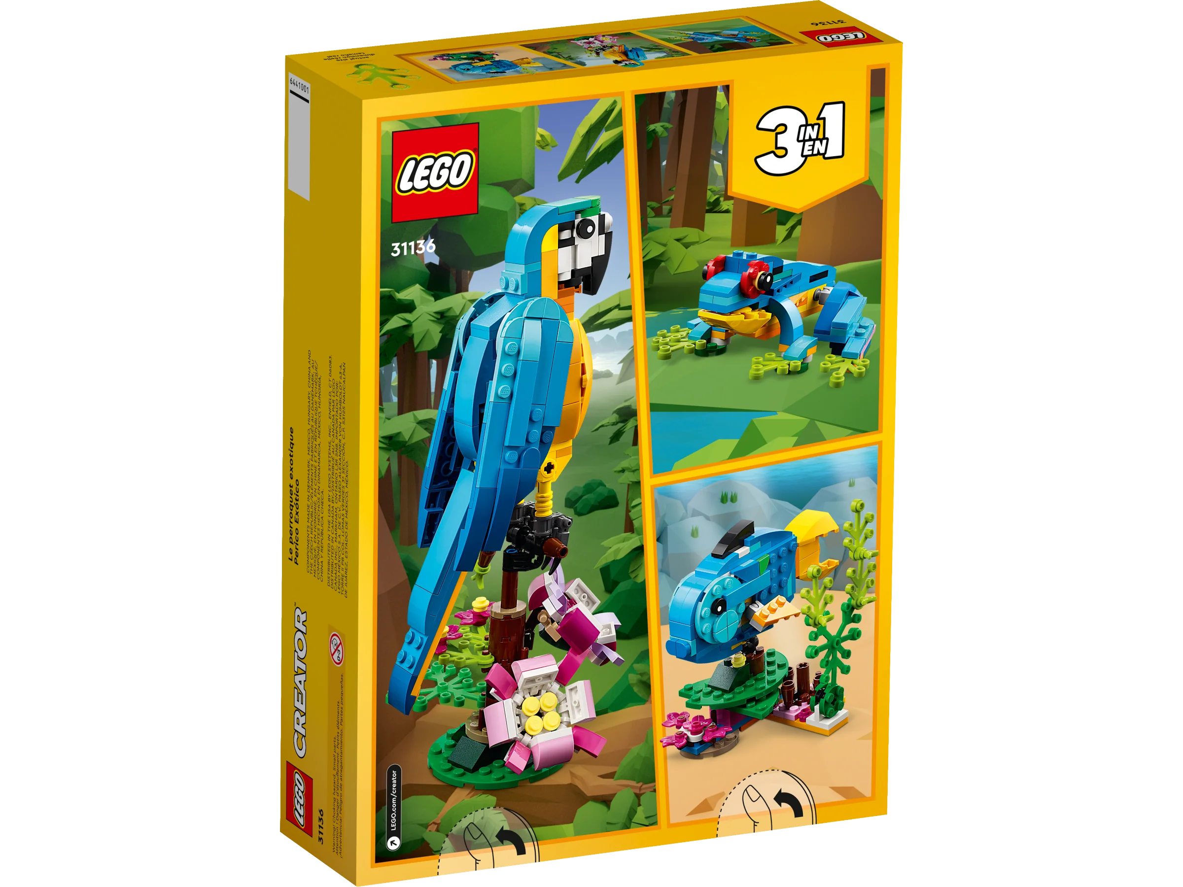 Exotic Parrot - Image 8