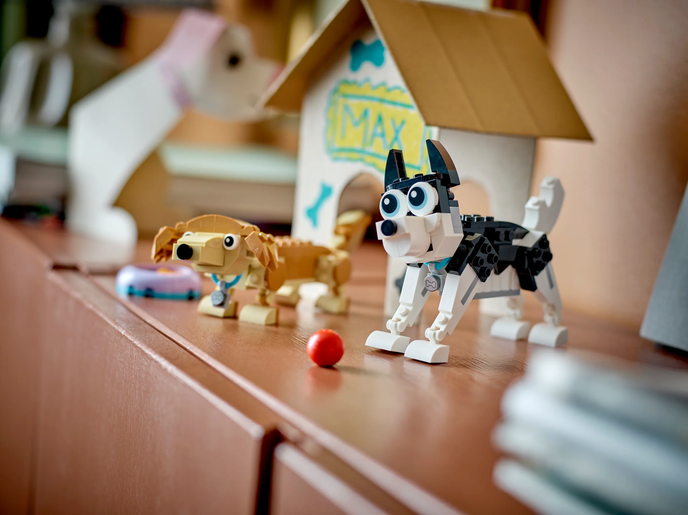 Adorable Dogs - Image 10