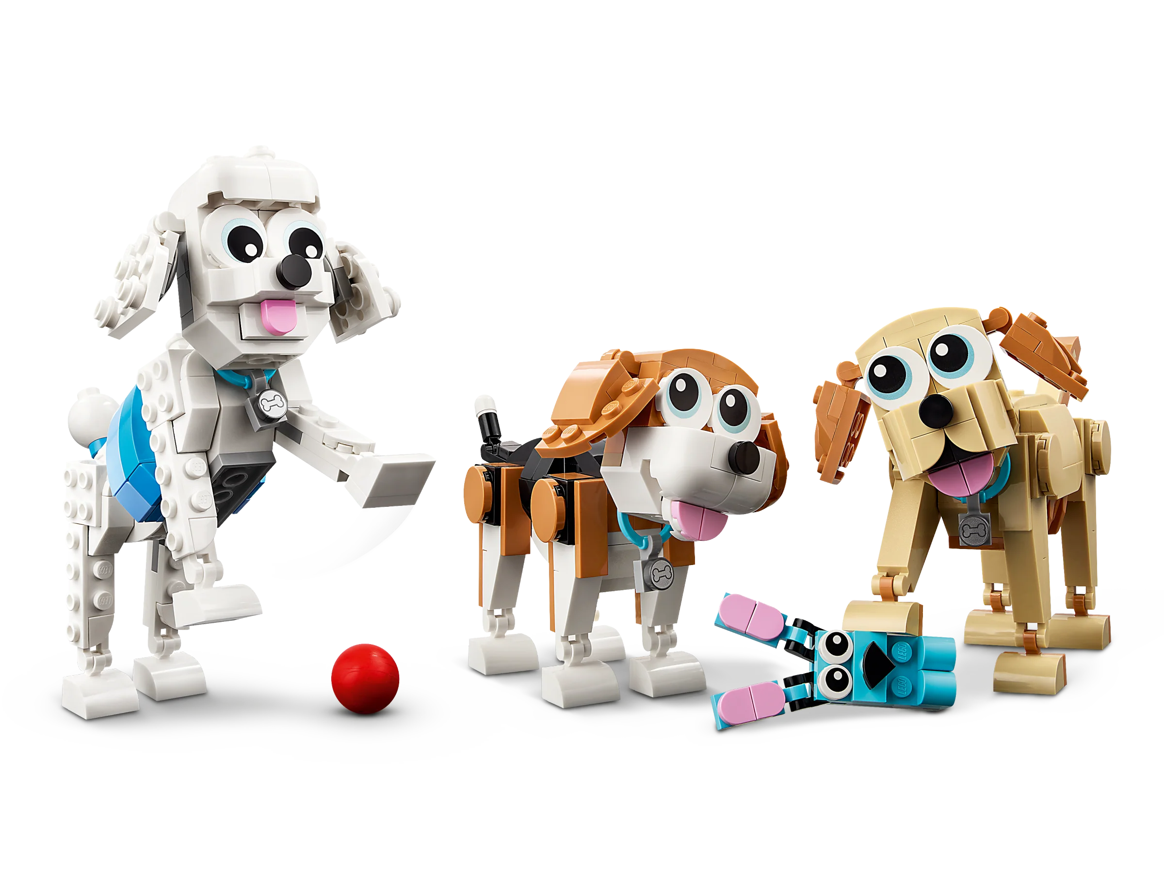 Adorable Dogs - Image 3