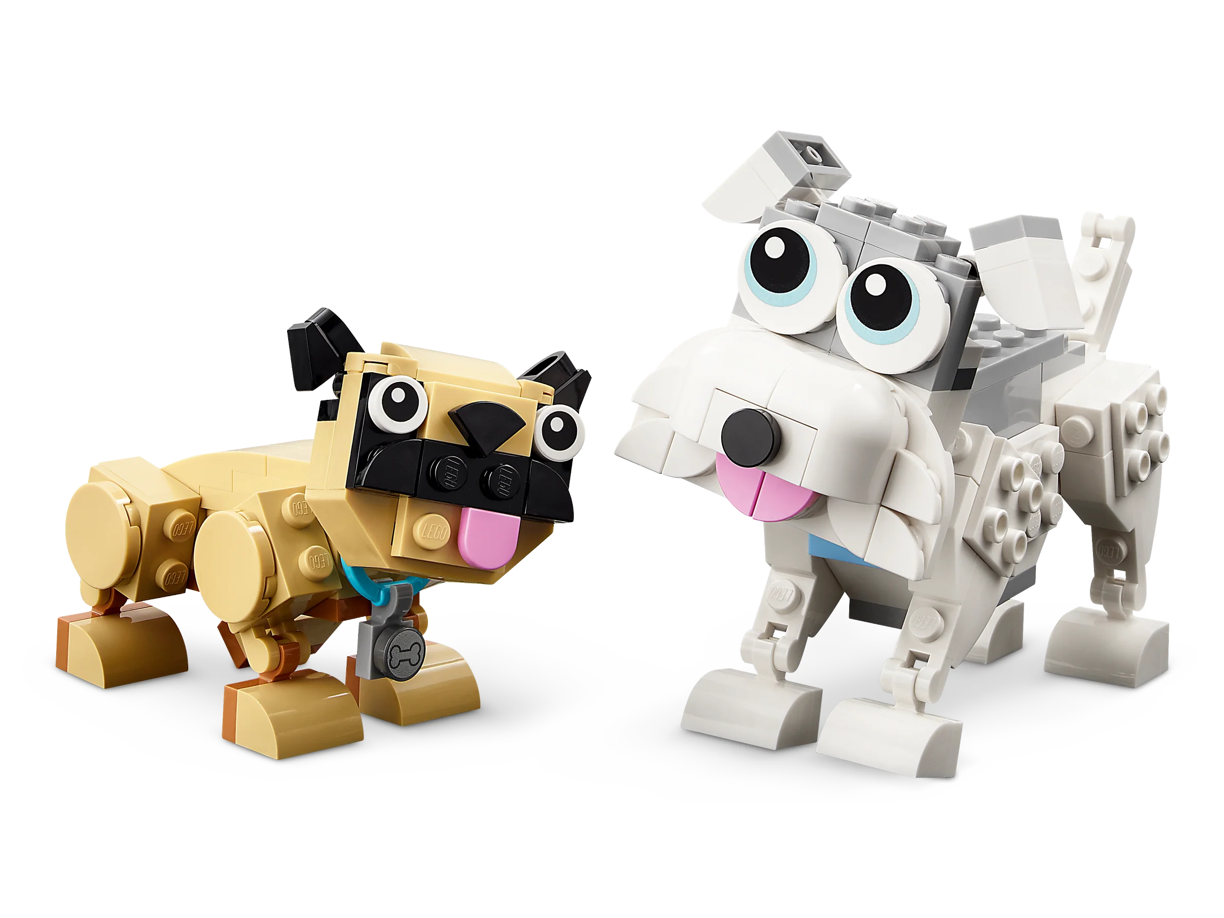 Adorable Dogs - Image 4