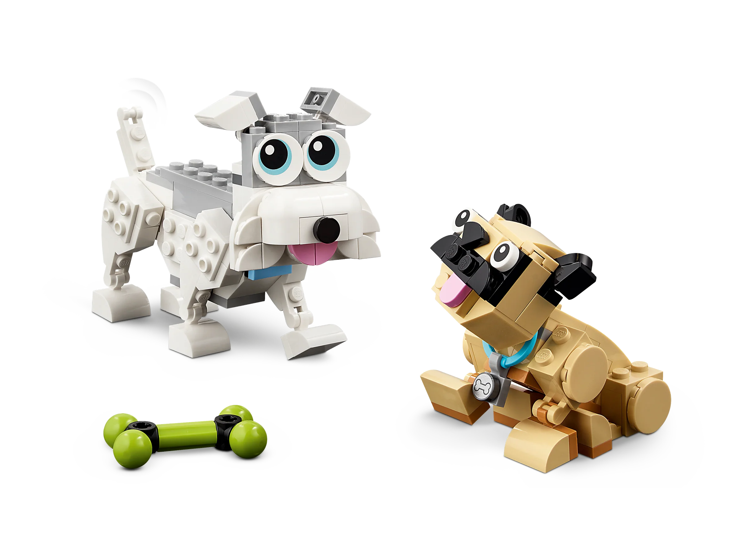 Adorable Dogs - Image 5
