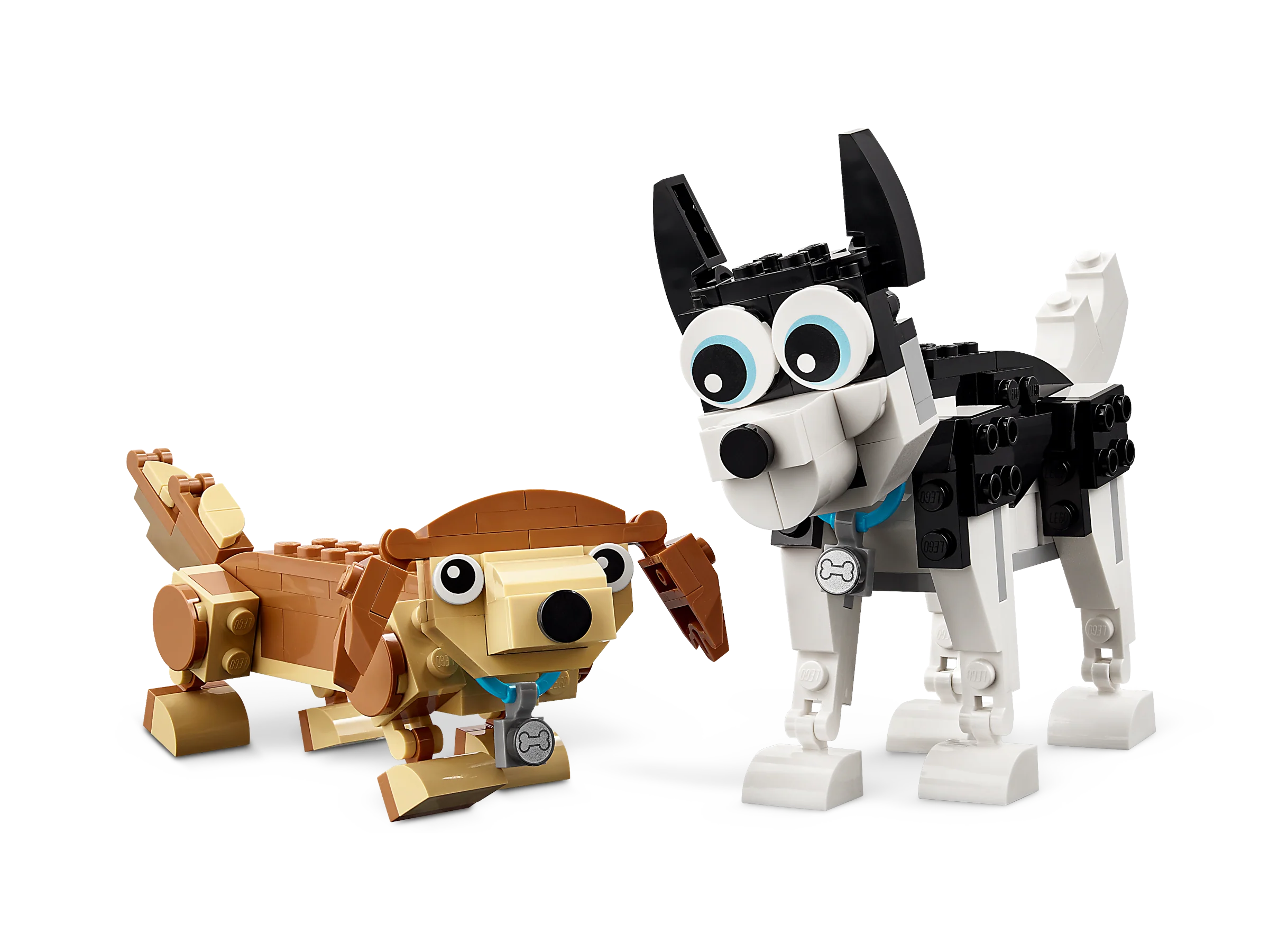 Adorable Dogs - Image 6