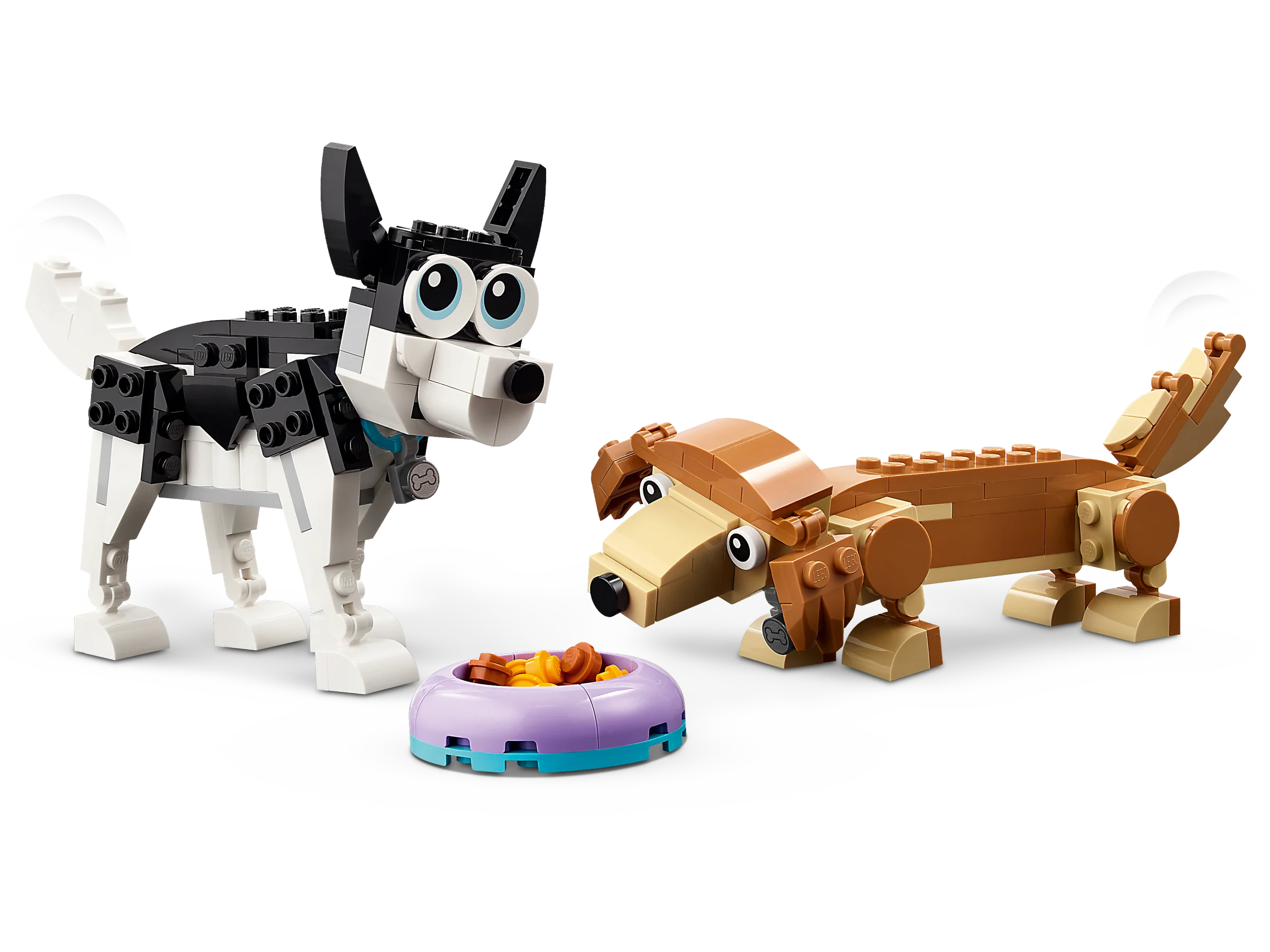Adorable Dogs - Image 7