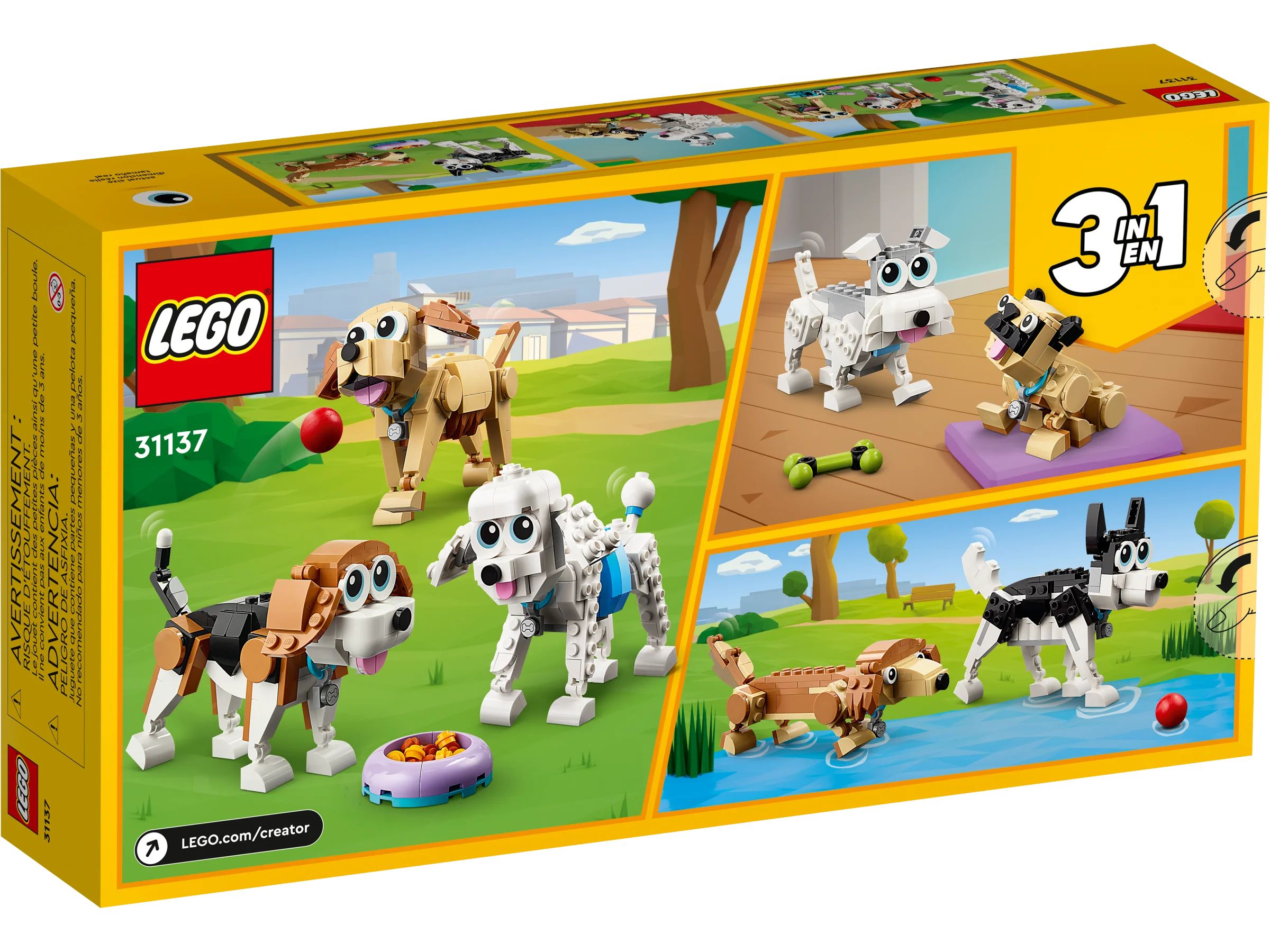 Adorable Dogs - Image 8