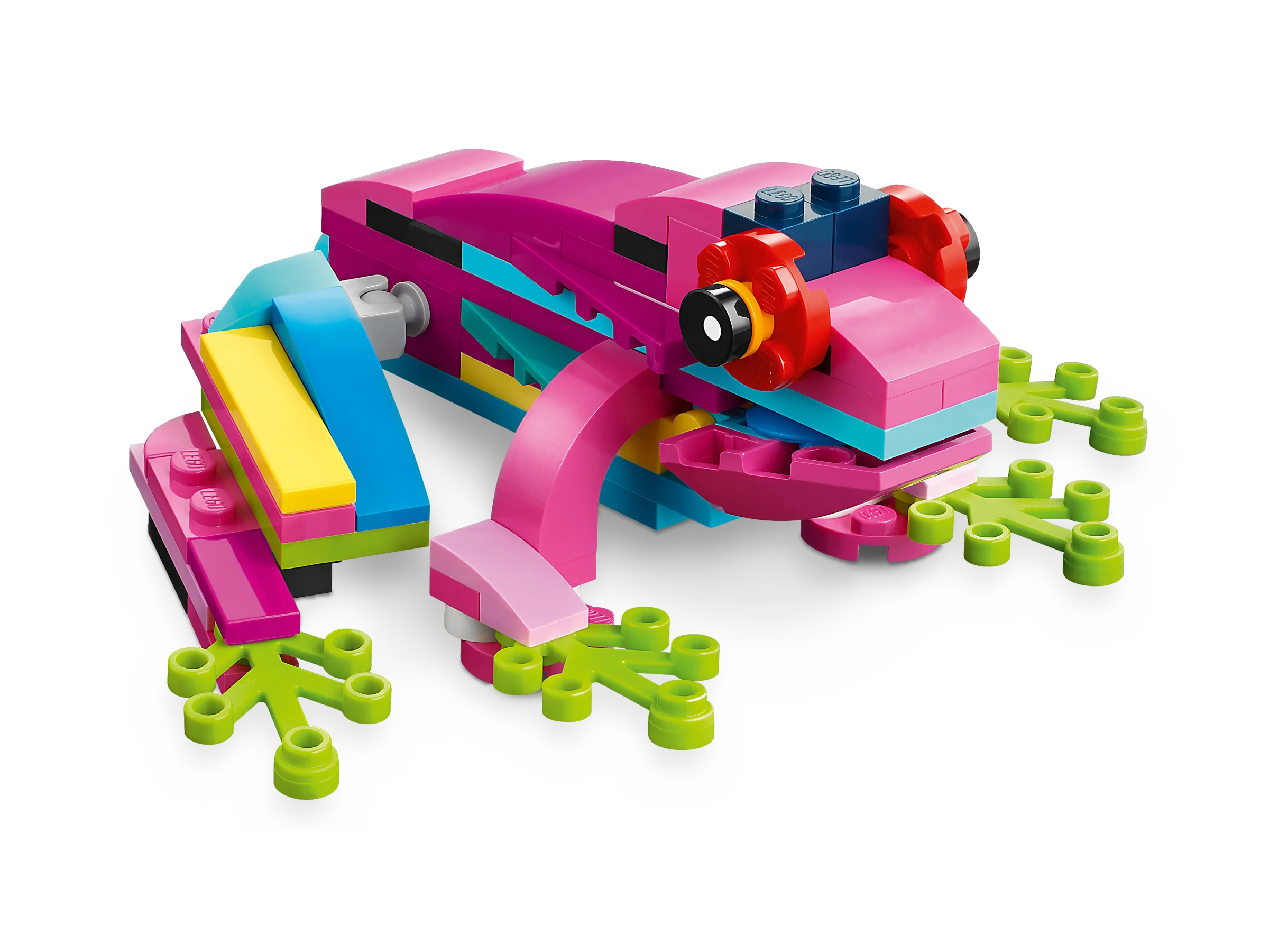 Exotic Pink Parrot - Image 4