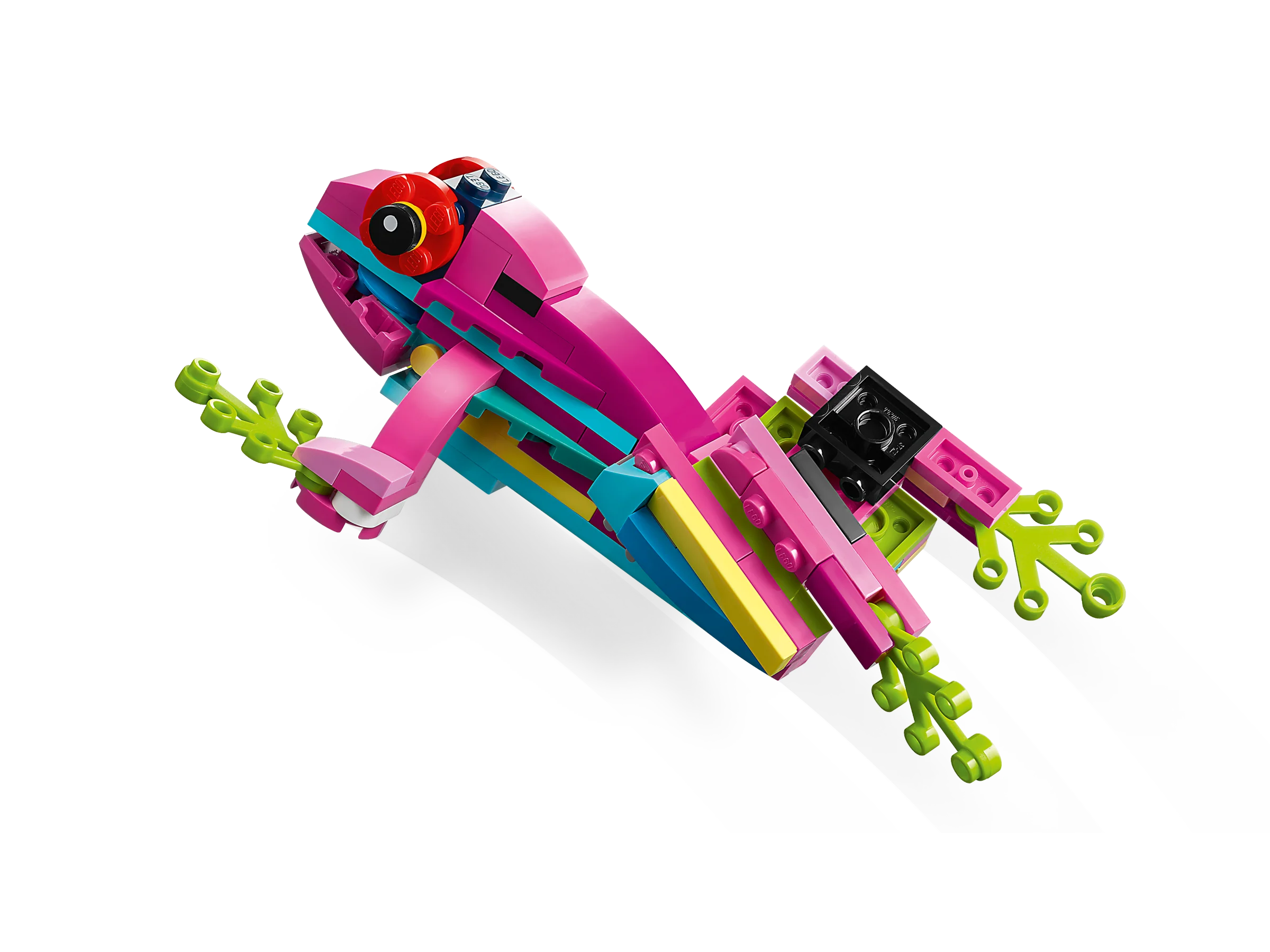 Exotic Pink Parrot - Image 5