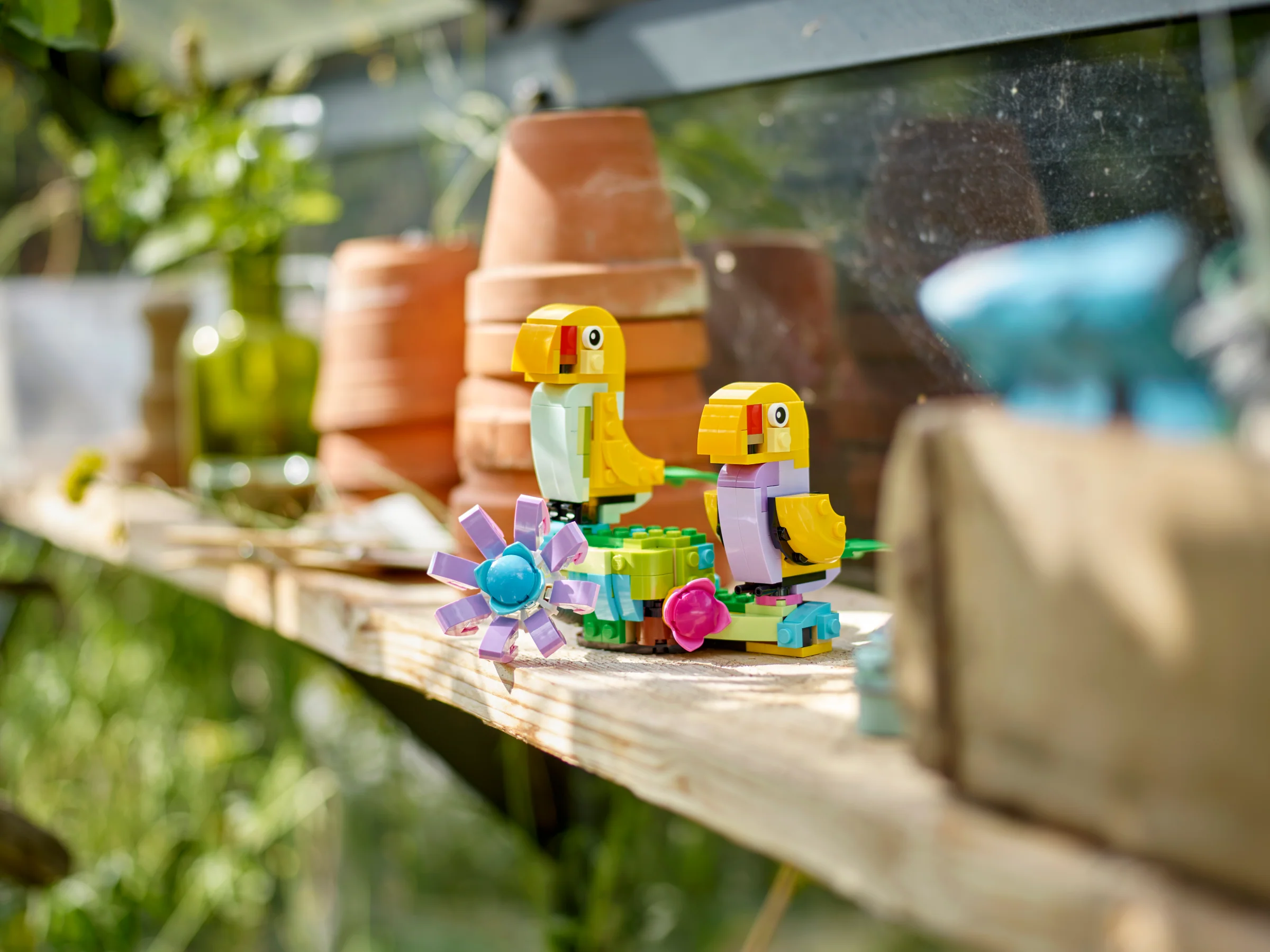 Flowers in Watering Can - Image 10