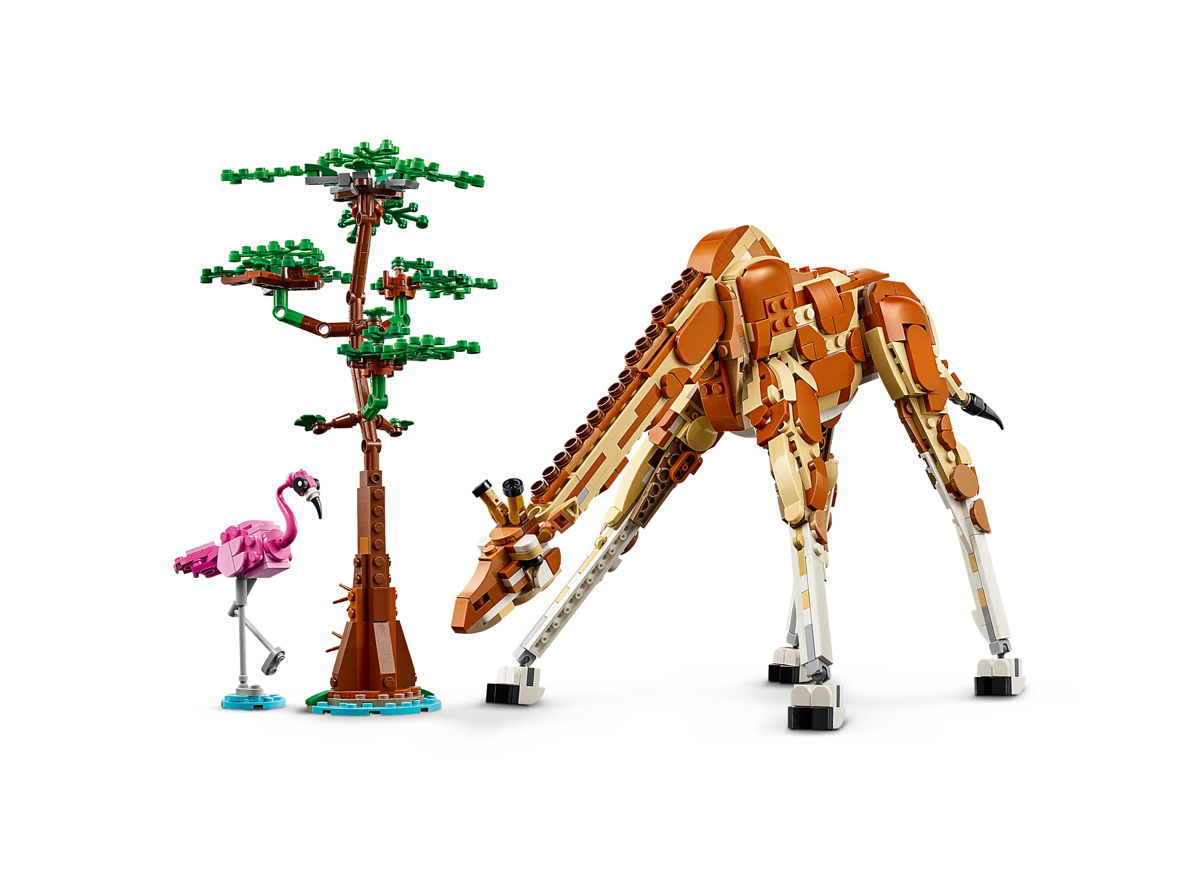 Wild Safari Animals - Image 3