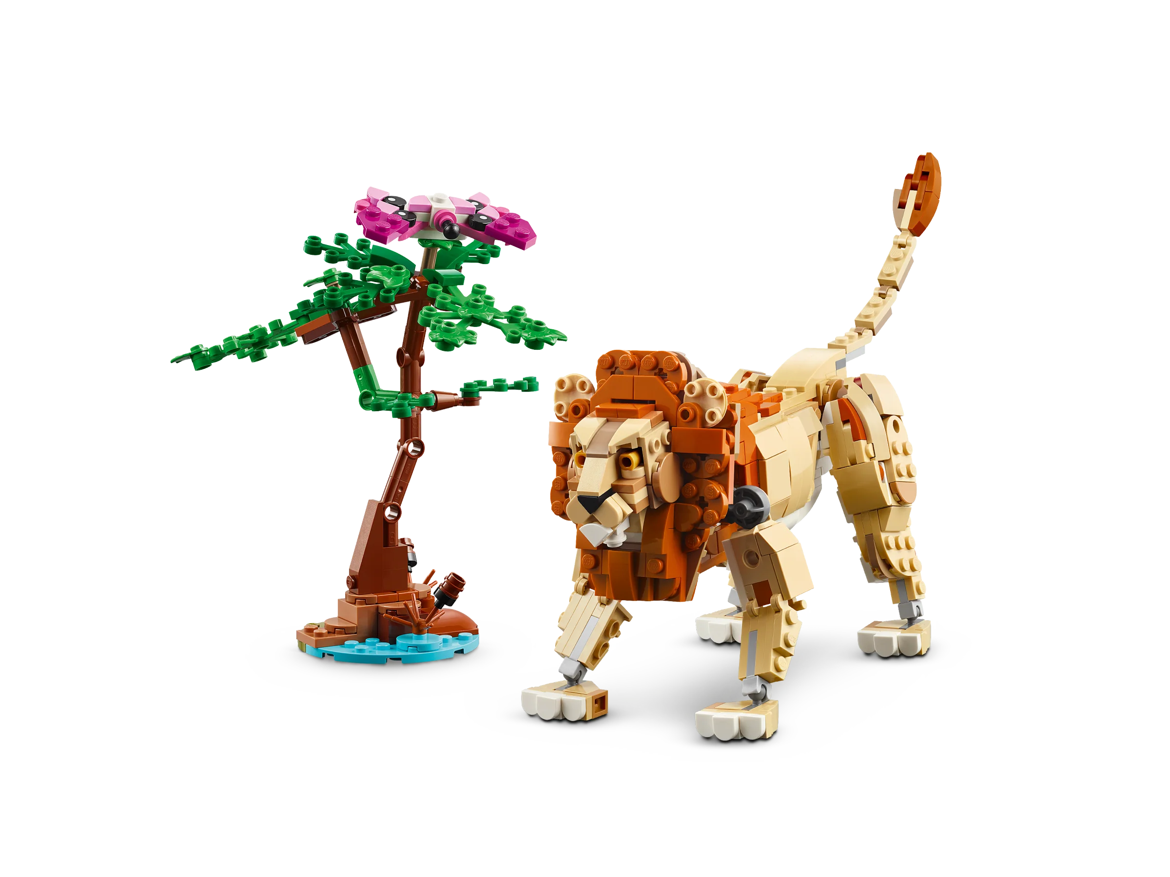 Wild Safari Animals - Image 4