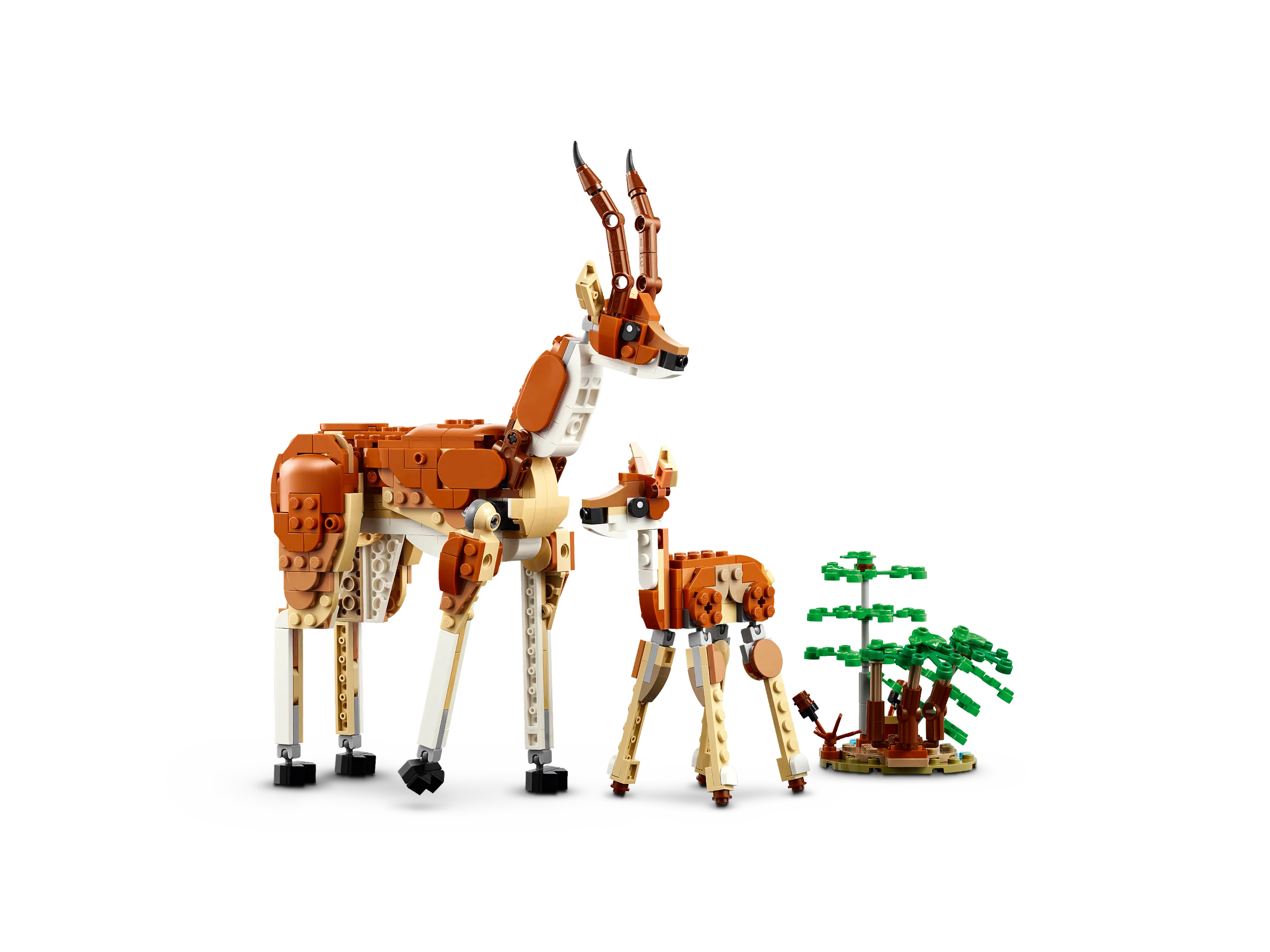 Wild Safari Animals - Image 6