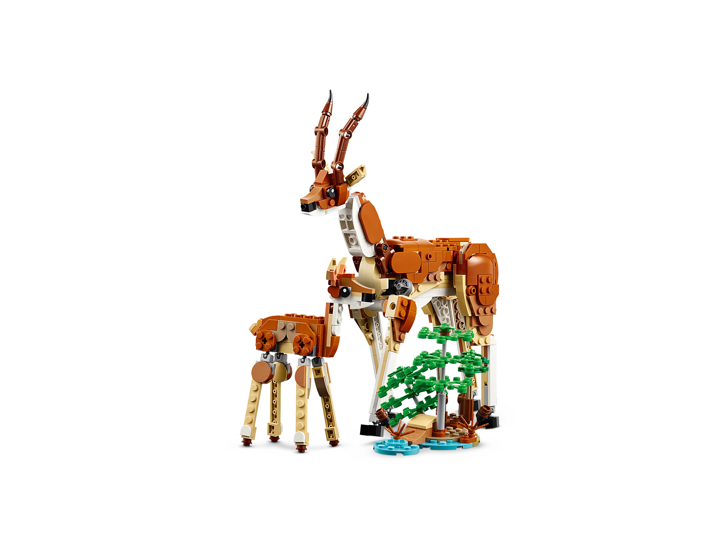 Wild Safari Animals - Image 7
