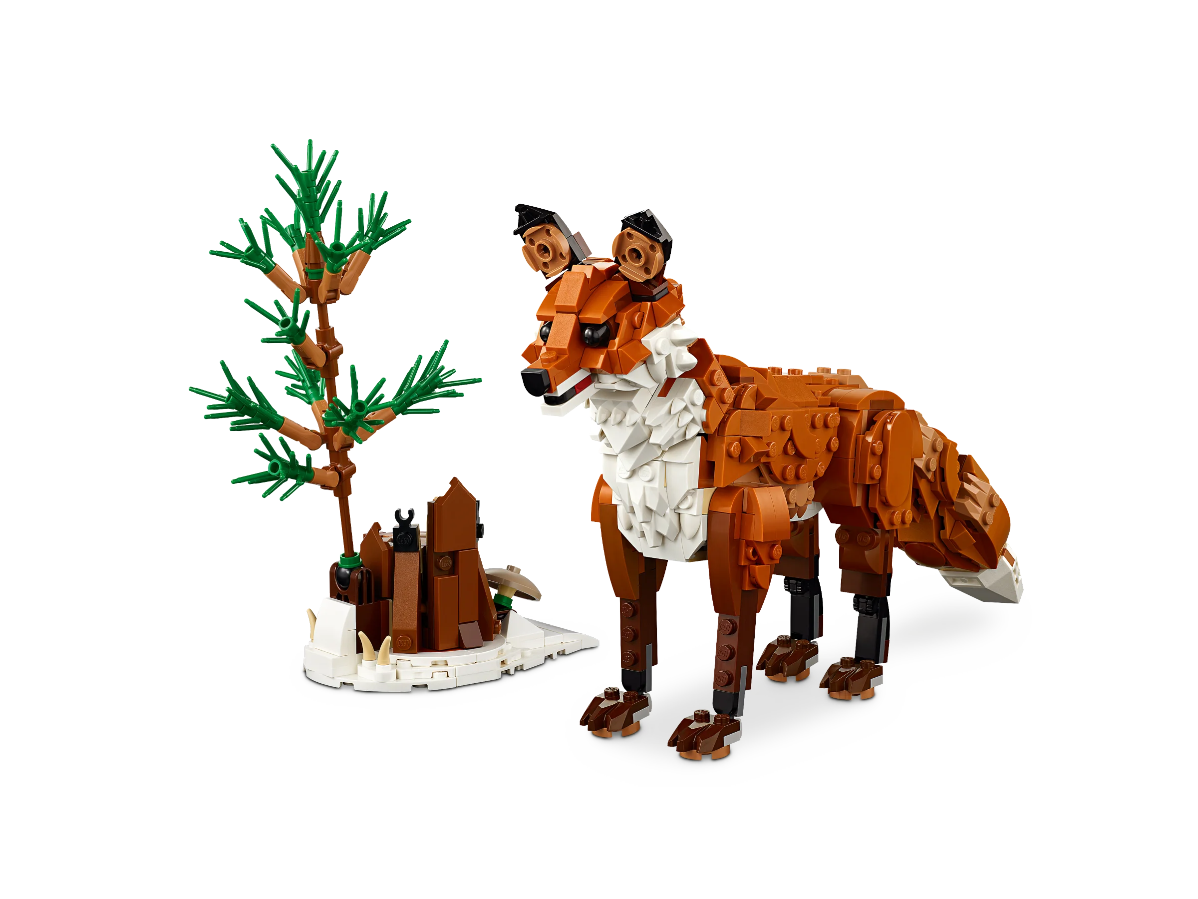 Forest Animals: Red Fox - Image 3
