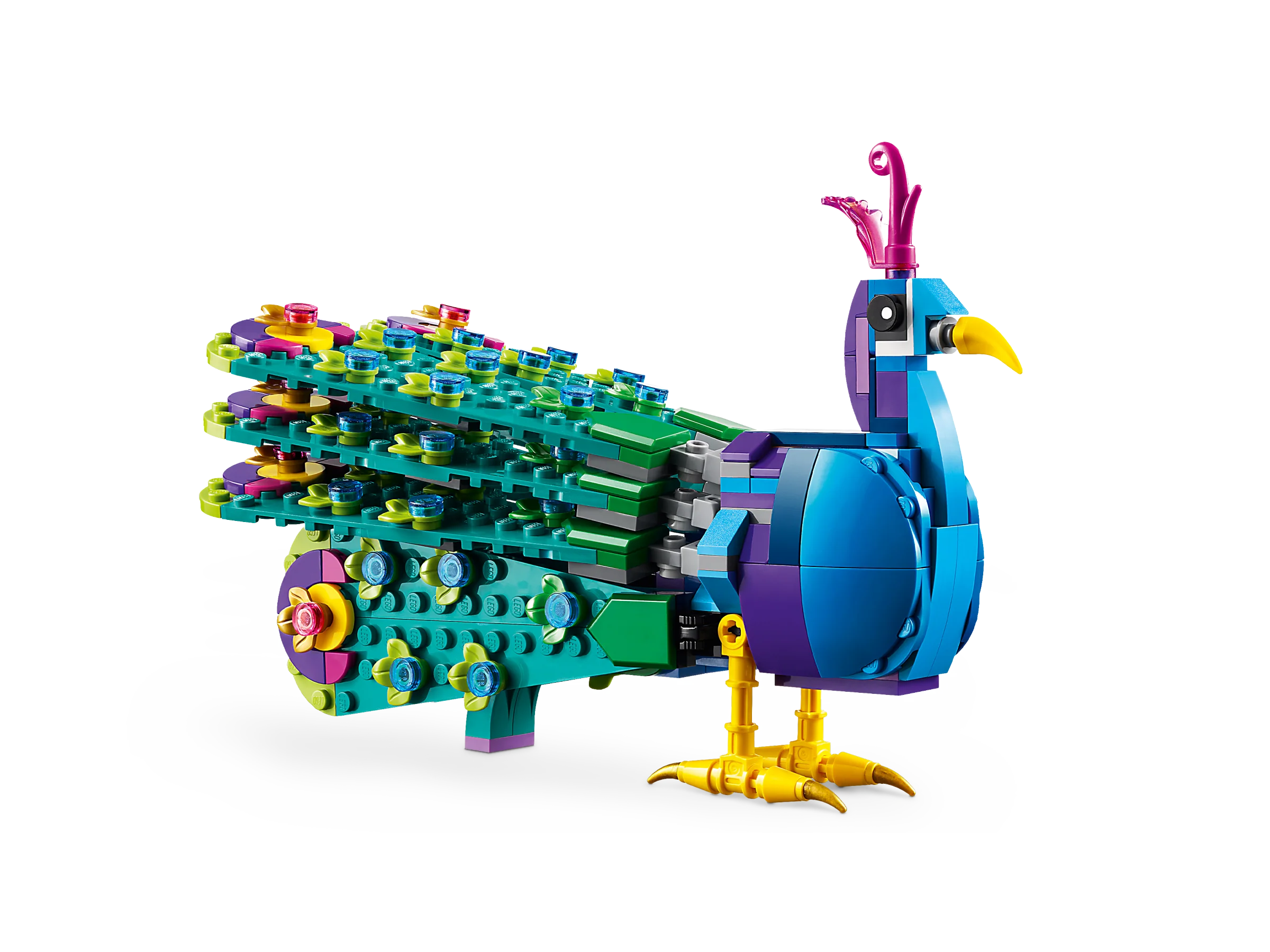 Exotic Peacock - Image 3