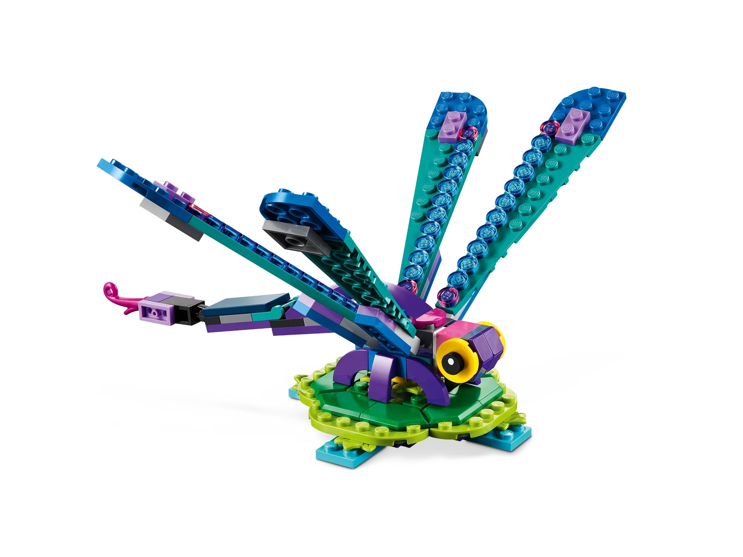 Exotic Peacock - Image 4