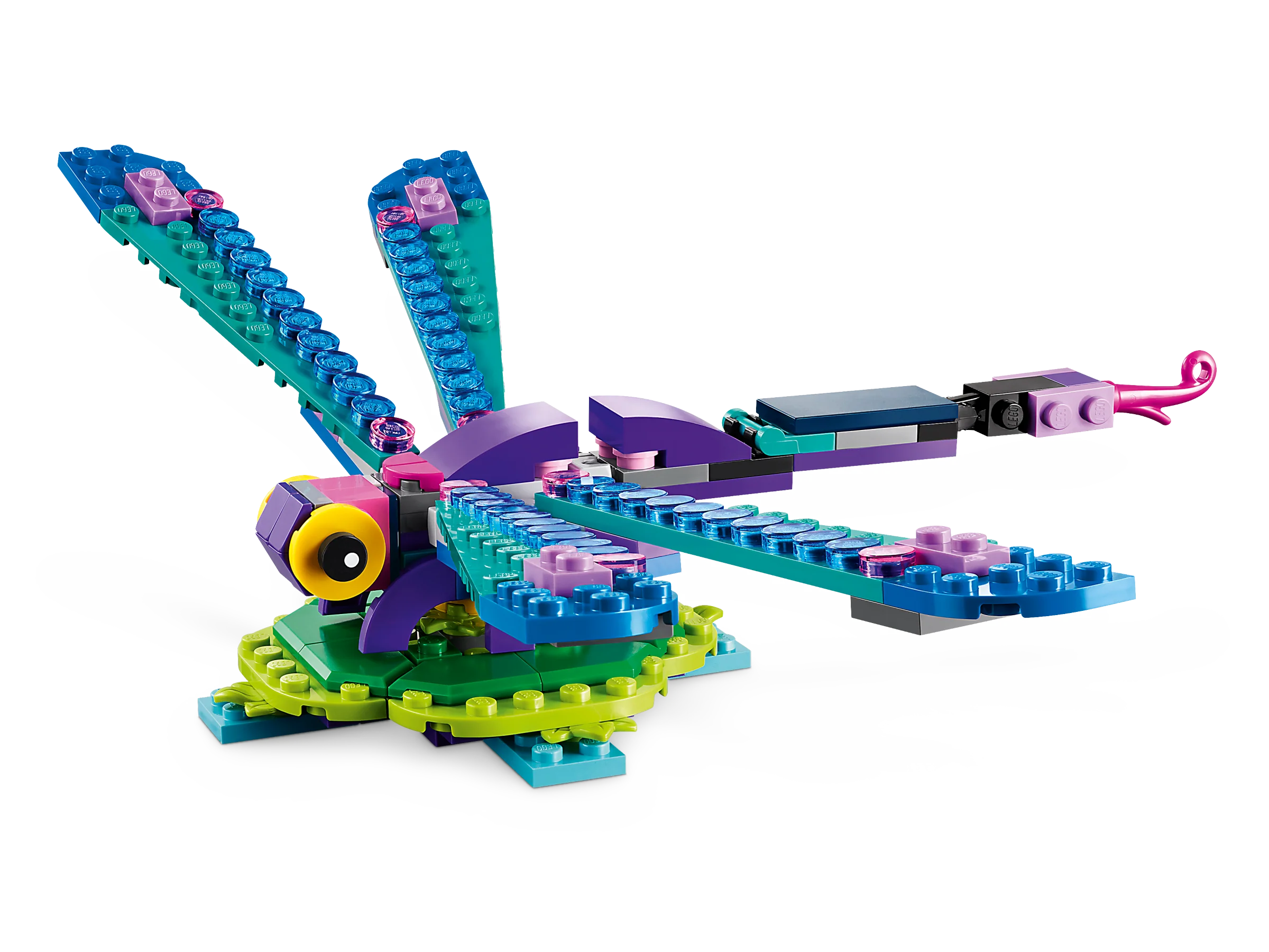 Exotic Peacock - Image 5