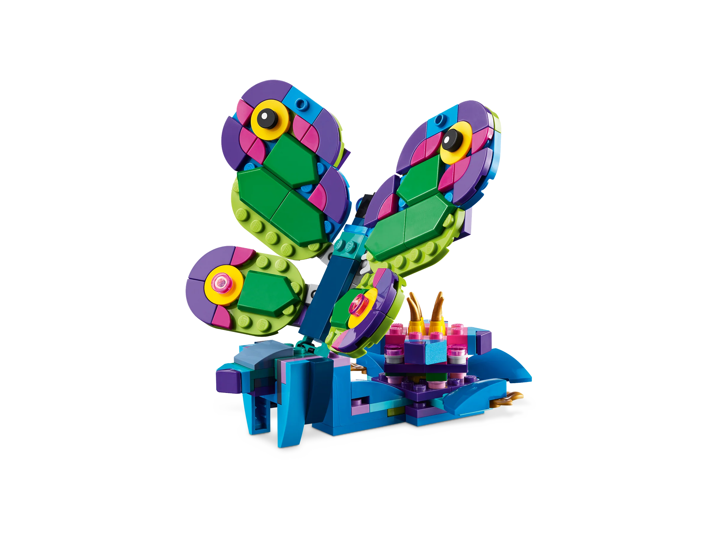 Exotic Peacock - Image 6