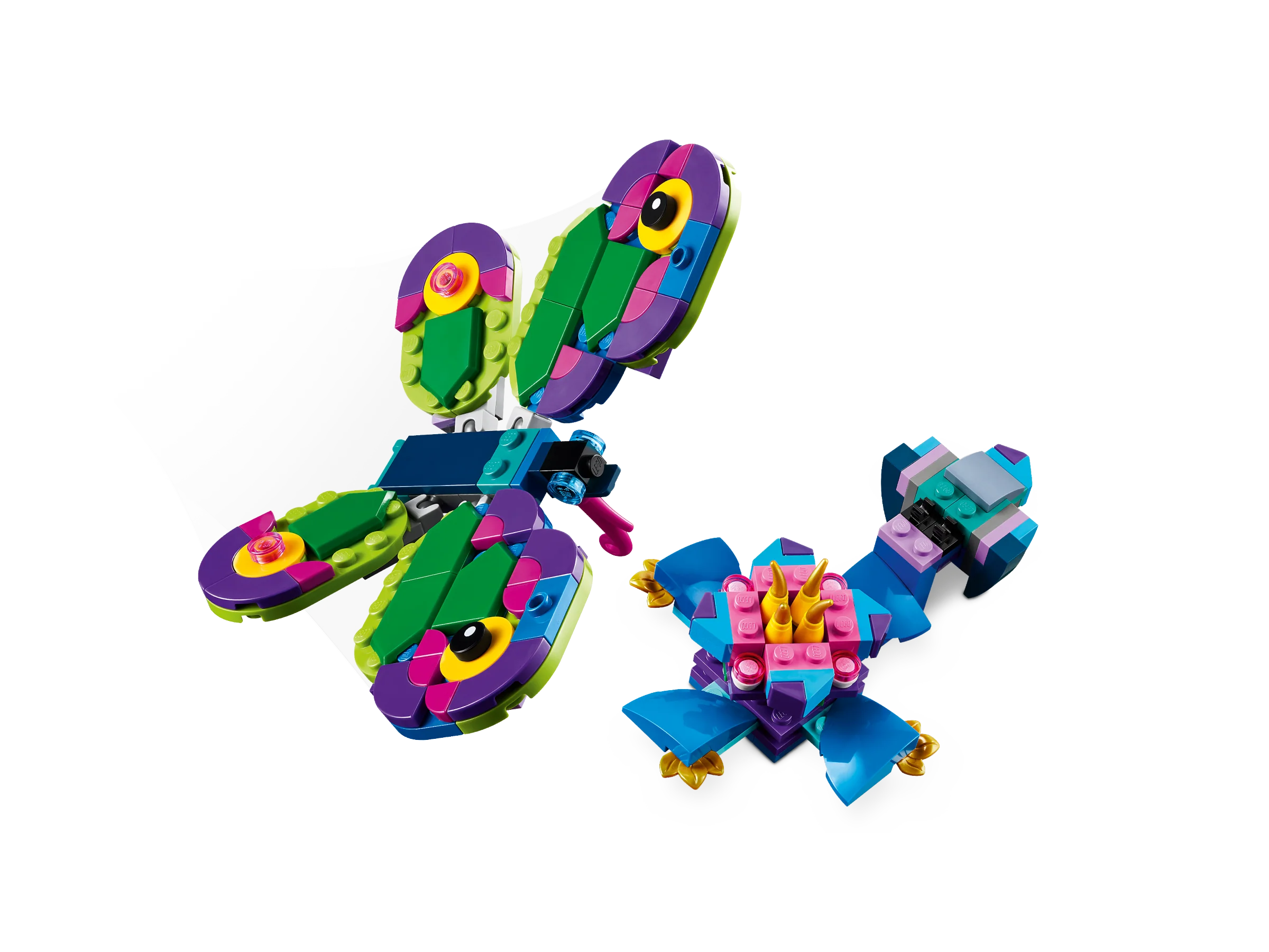 Exotic Peacock - Image 7