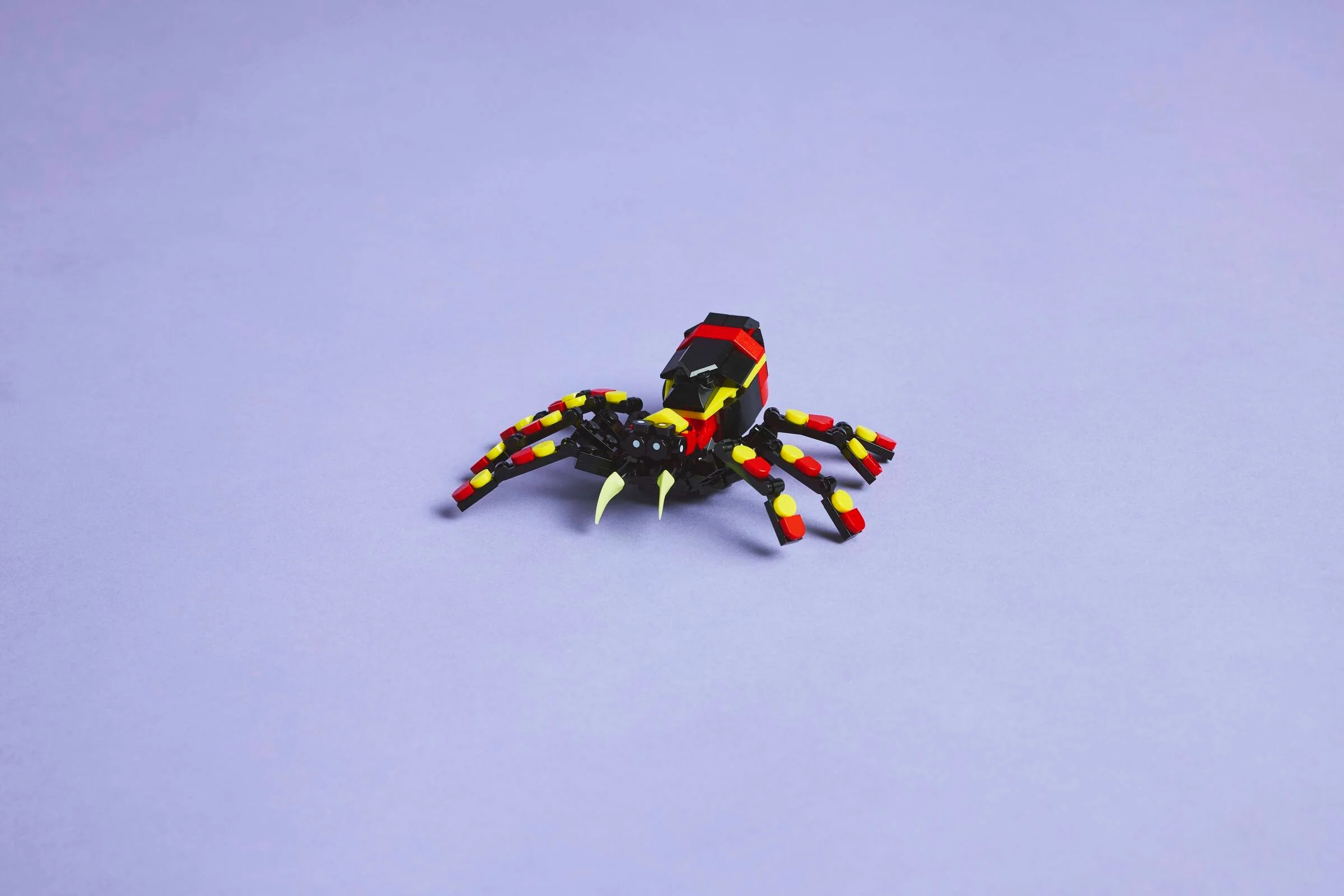 Surprising Spider - Image 10
