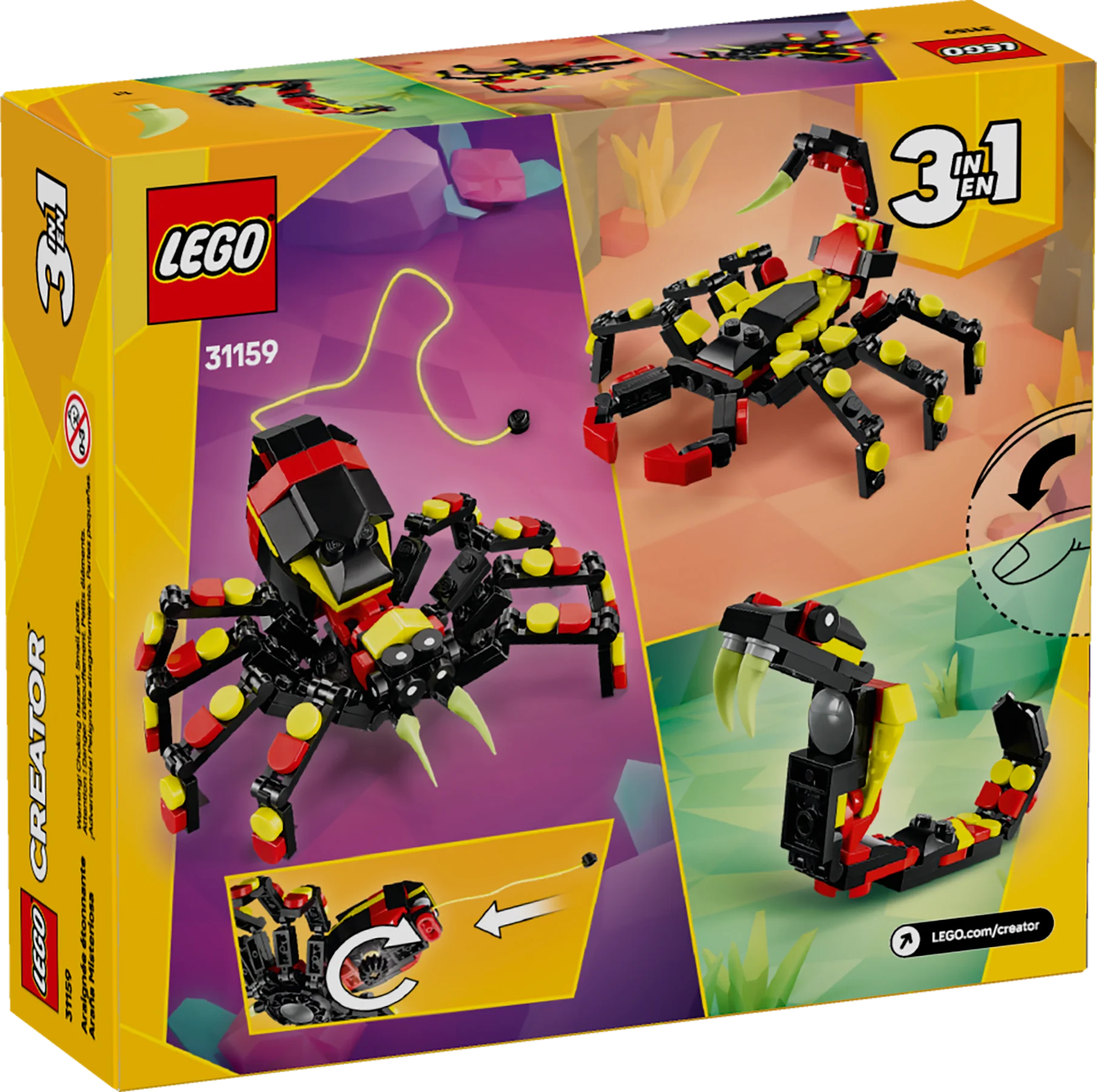 Surprising Spider - Image 13