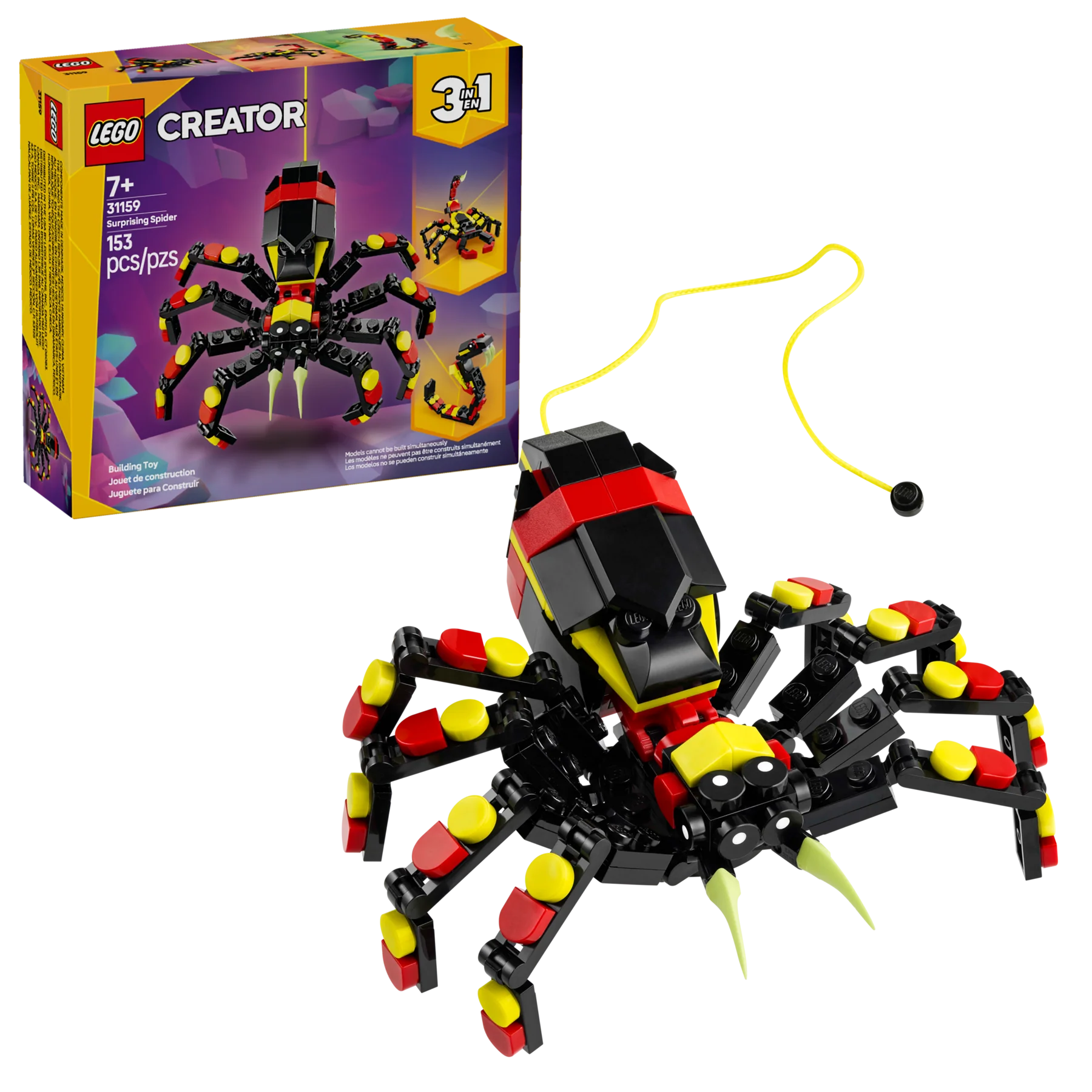 Surprising Spider - Image 2