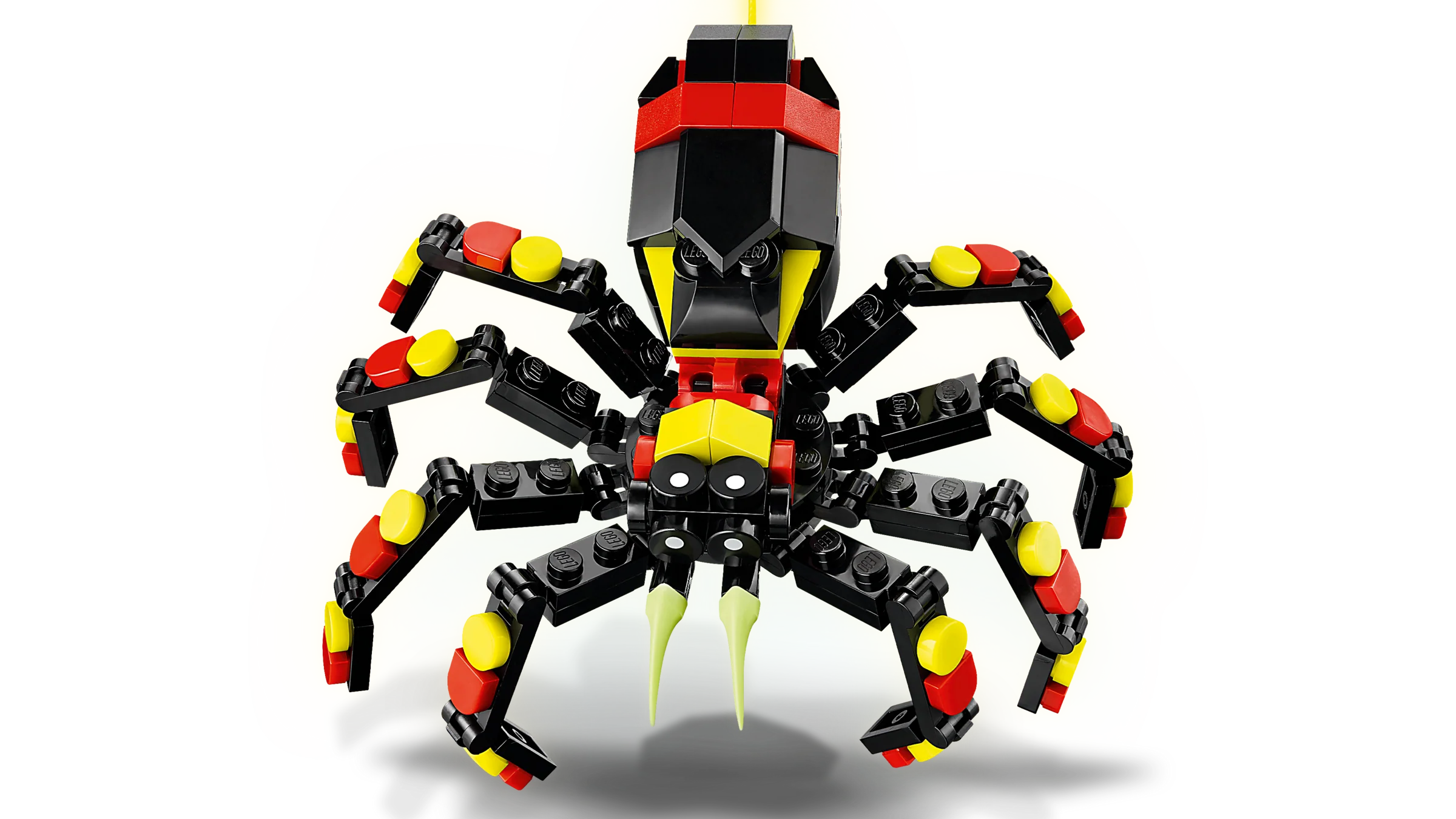 Surprising Spider - Image 3