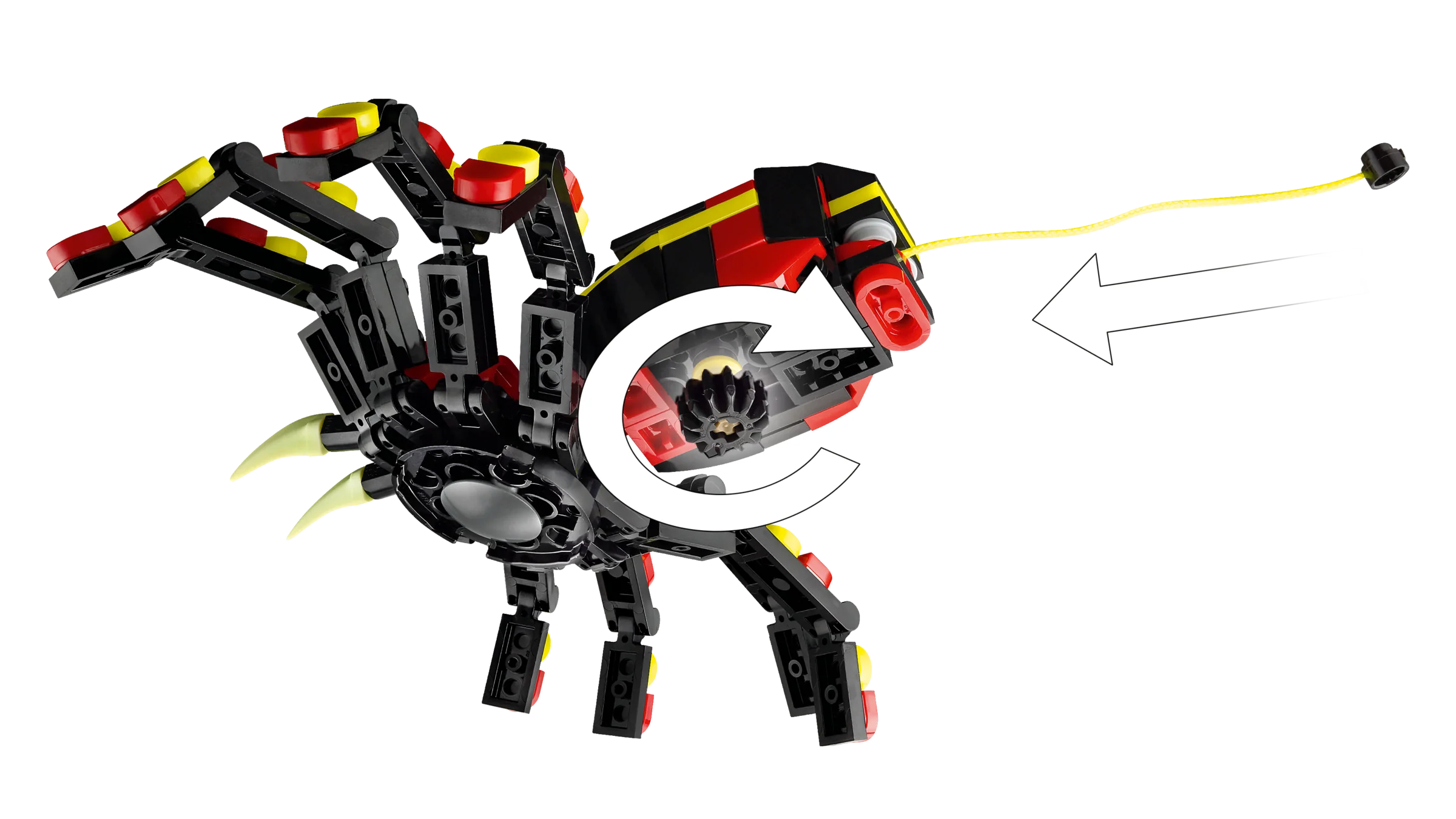 Surprising Spider - Image 4