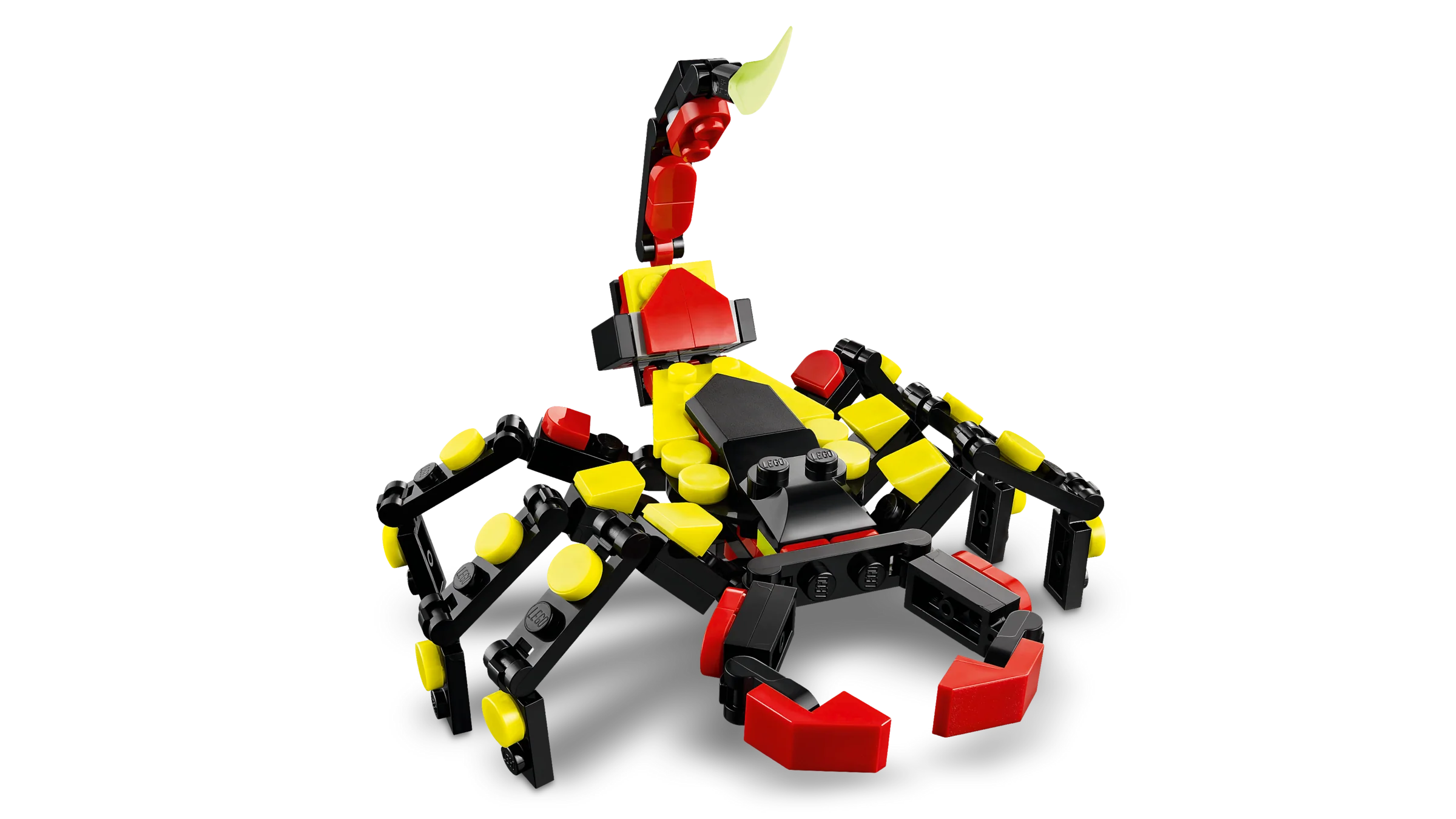 Surprising Spider - Image 7