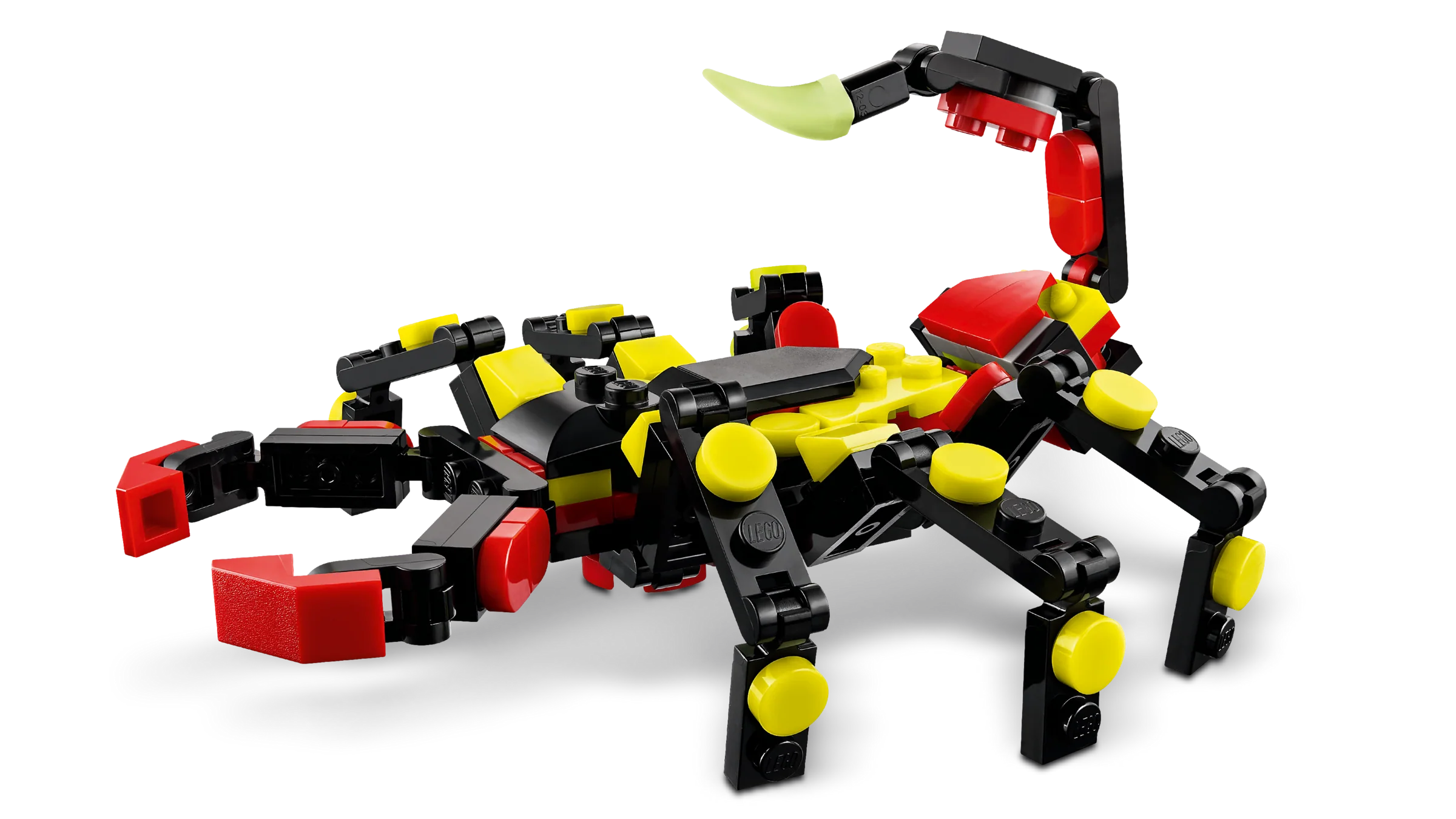 Surprising Spider - Image 8