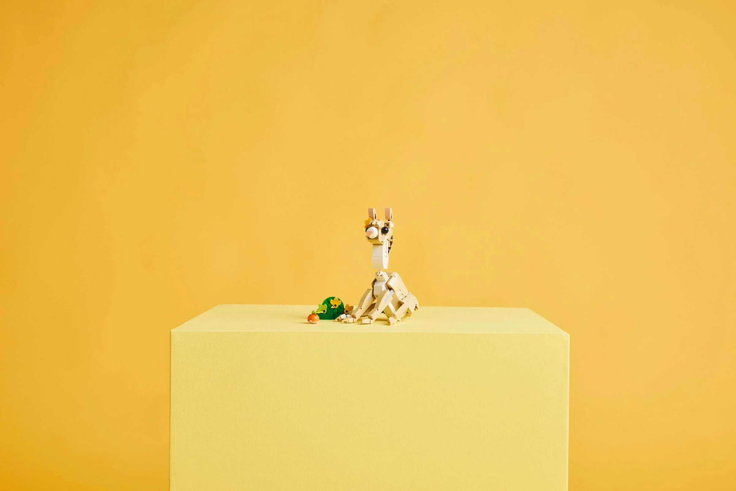 Cute Bunny - Image 10