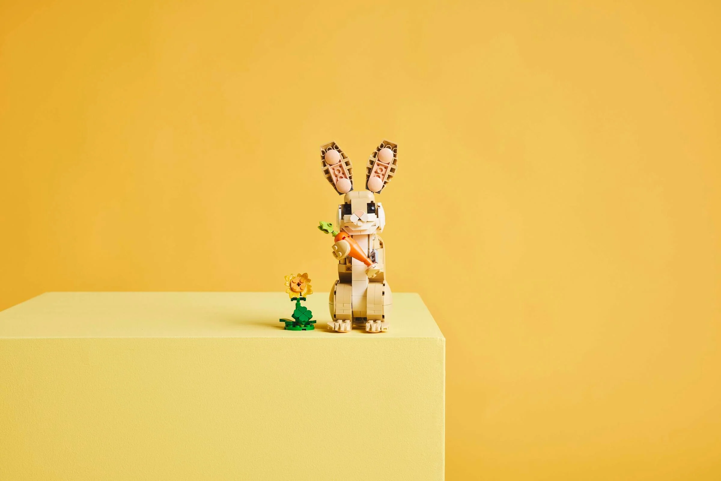 Cute Bunny - Image 11