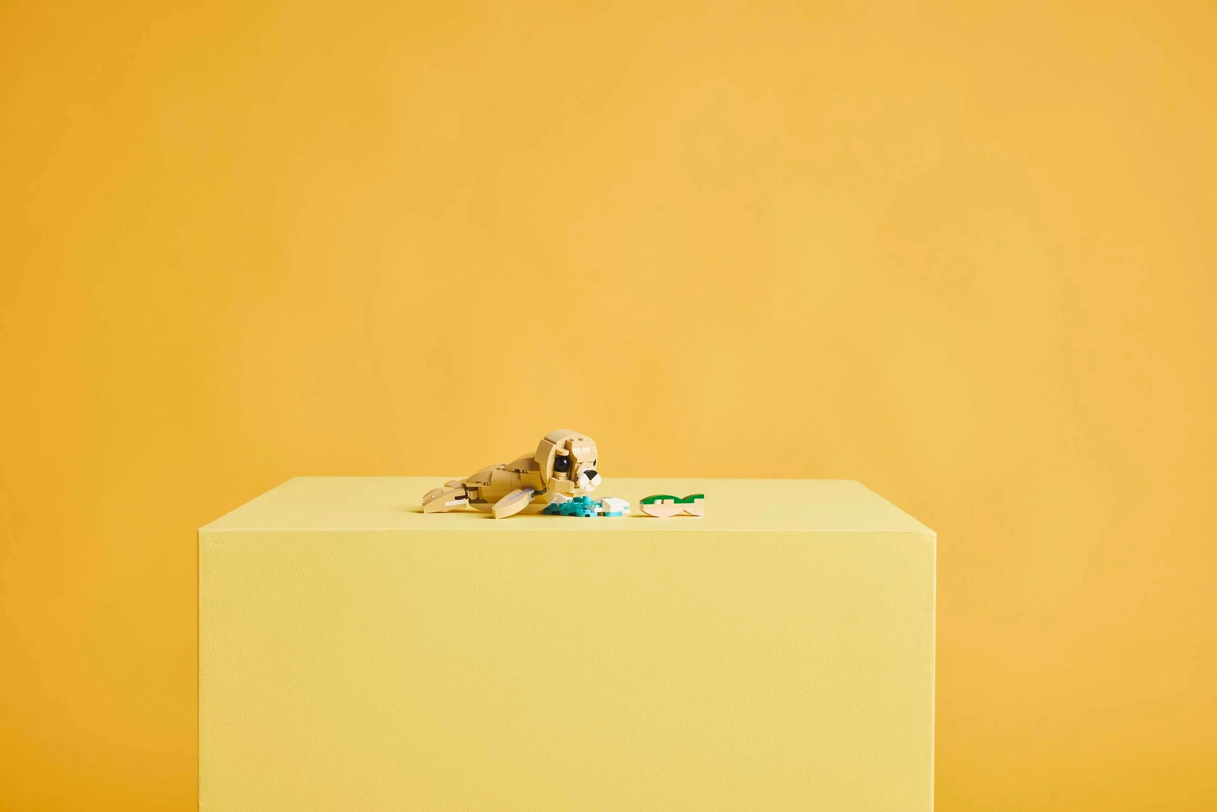 Cute Bunny - Image 12