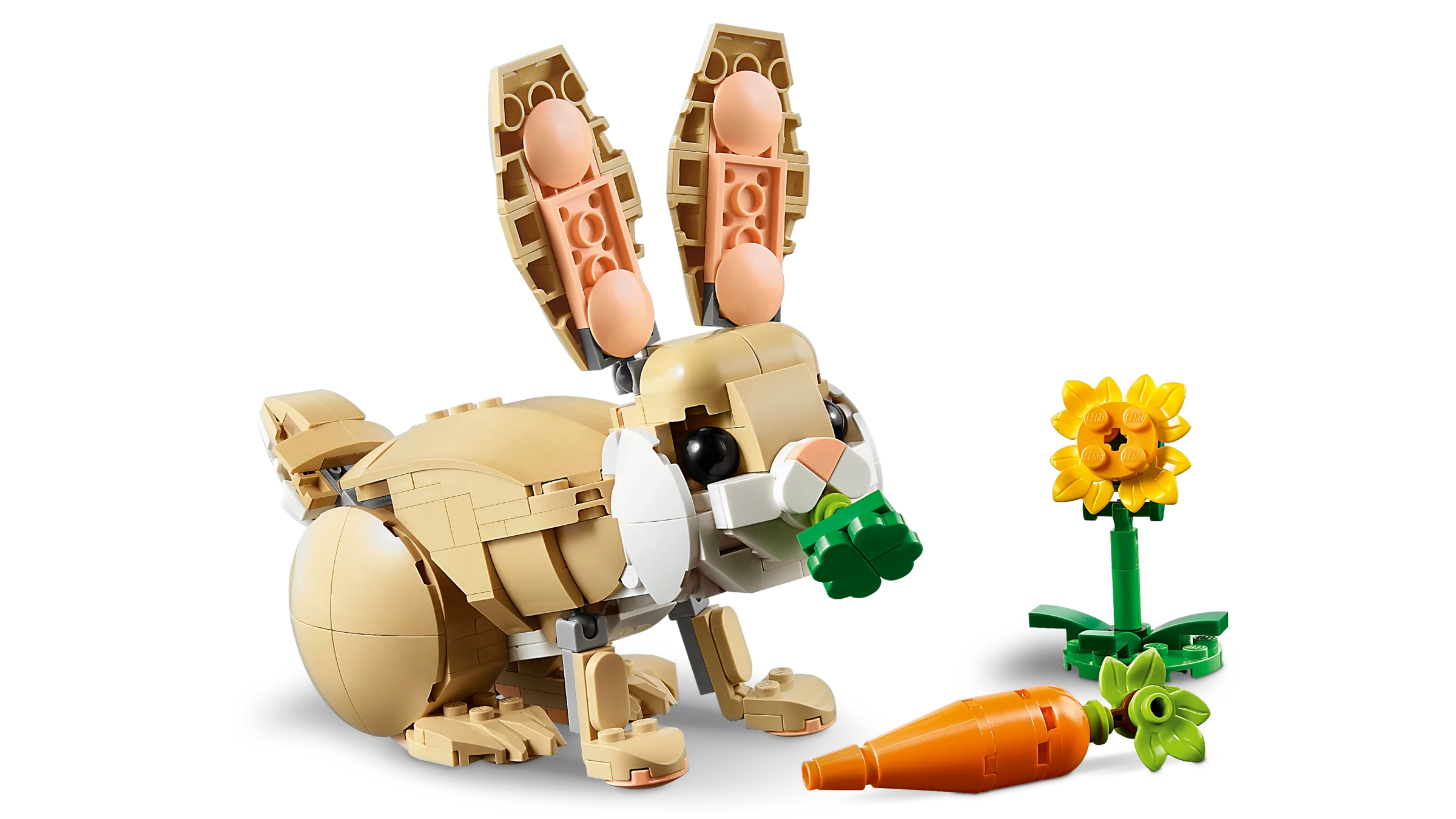Cute Bunny - Image 3