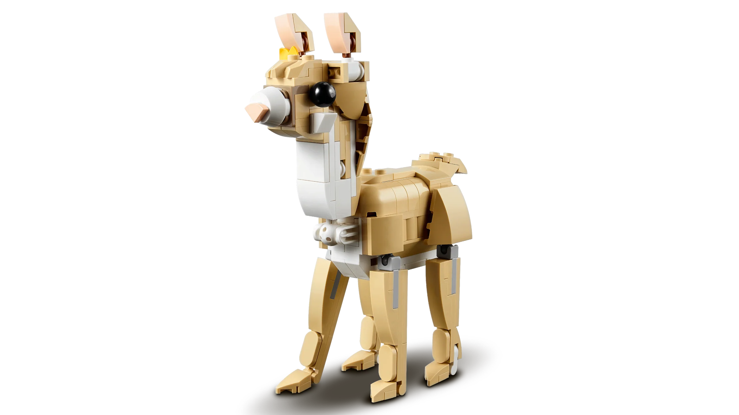 Cute Bunny - Image 5